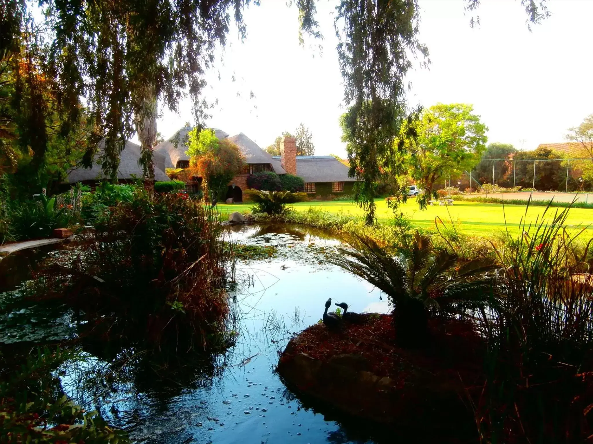 Lake view in African Footprints Lodge