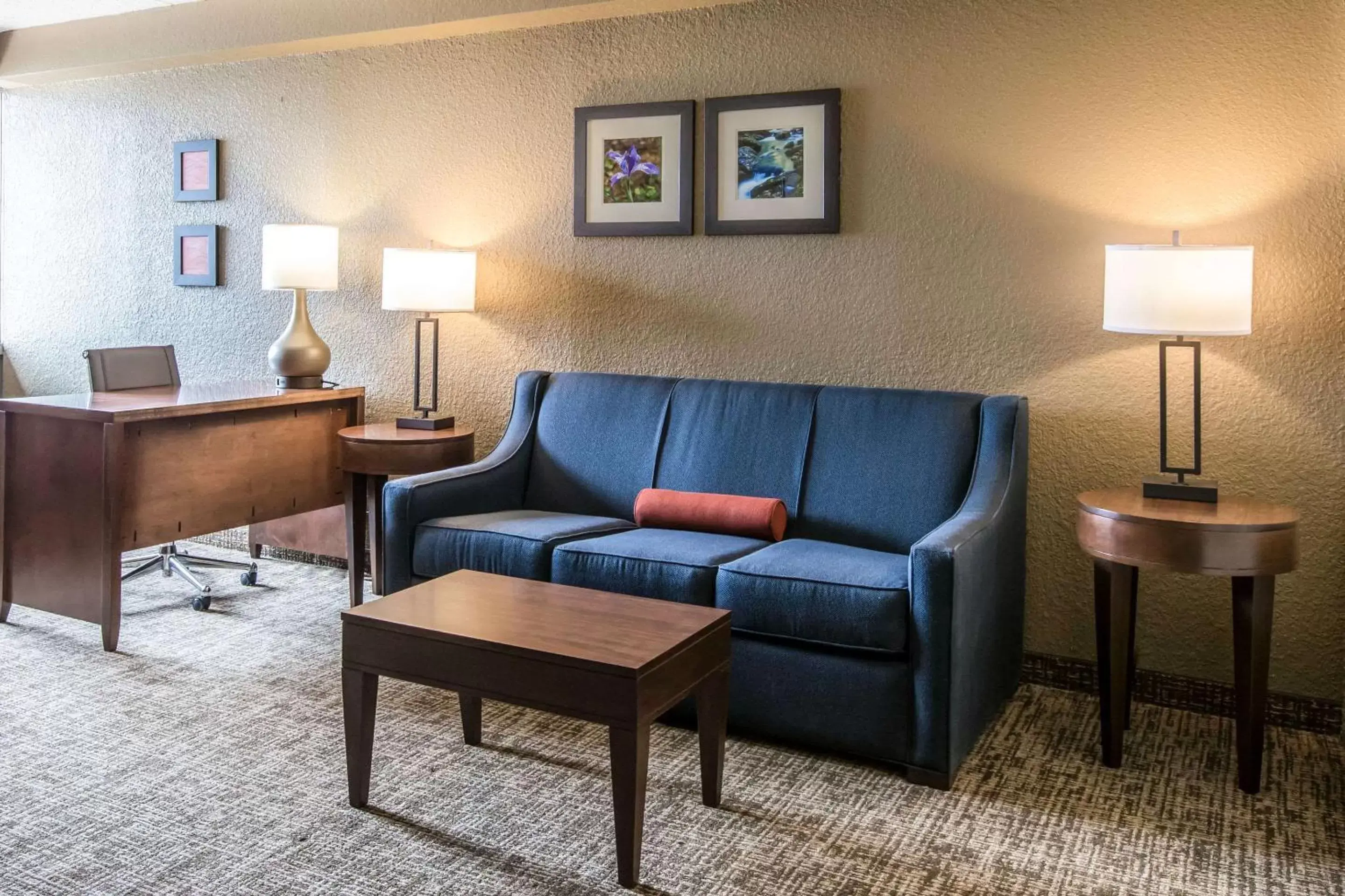 Photo of the whole room, Seating Area in Comfort Inn & Suites Knoxville West