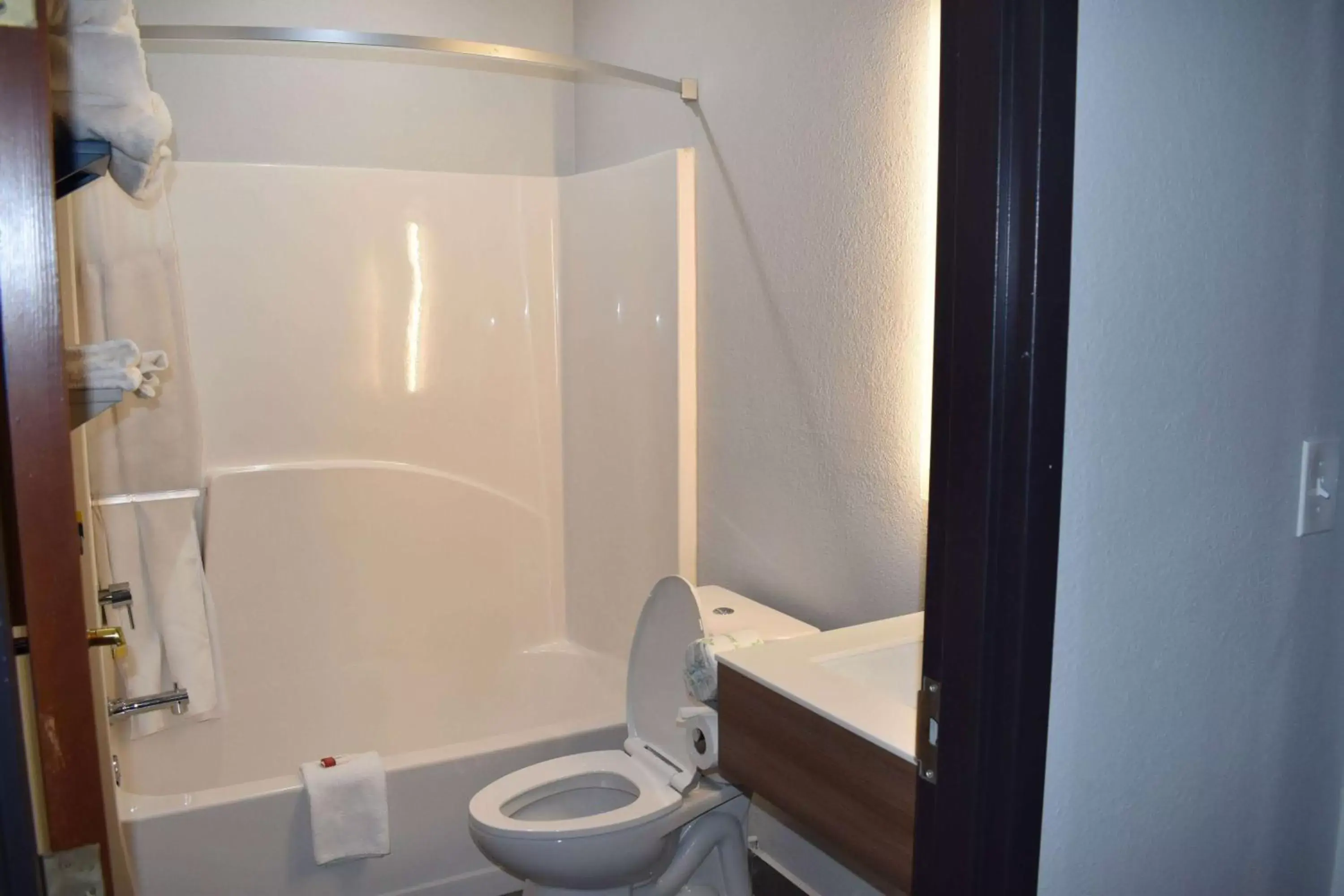 TV and multimedia, Bathroom in Microtel Inn & Suites by Wyndham Stockbridge/Atlanta I-75