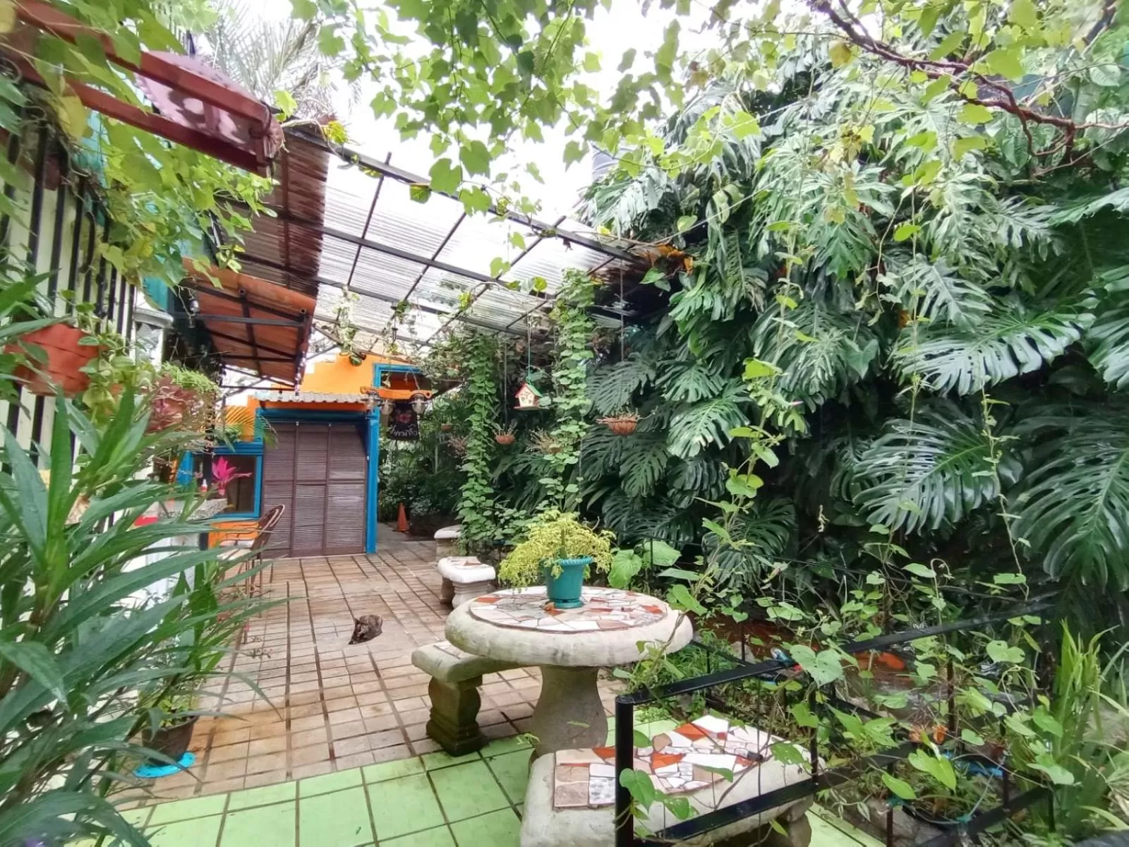 Patio in Nirvana Apartament Hostal