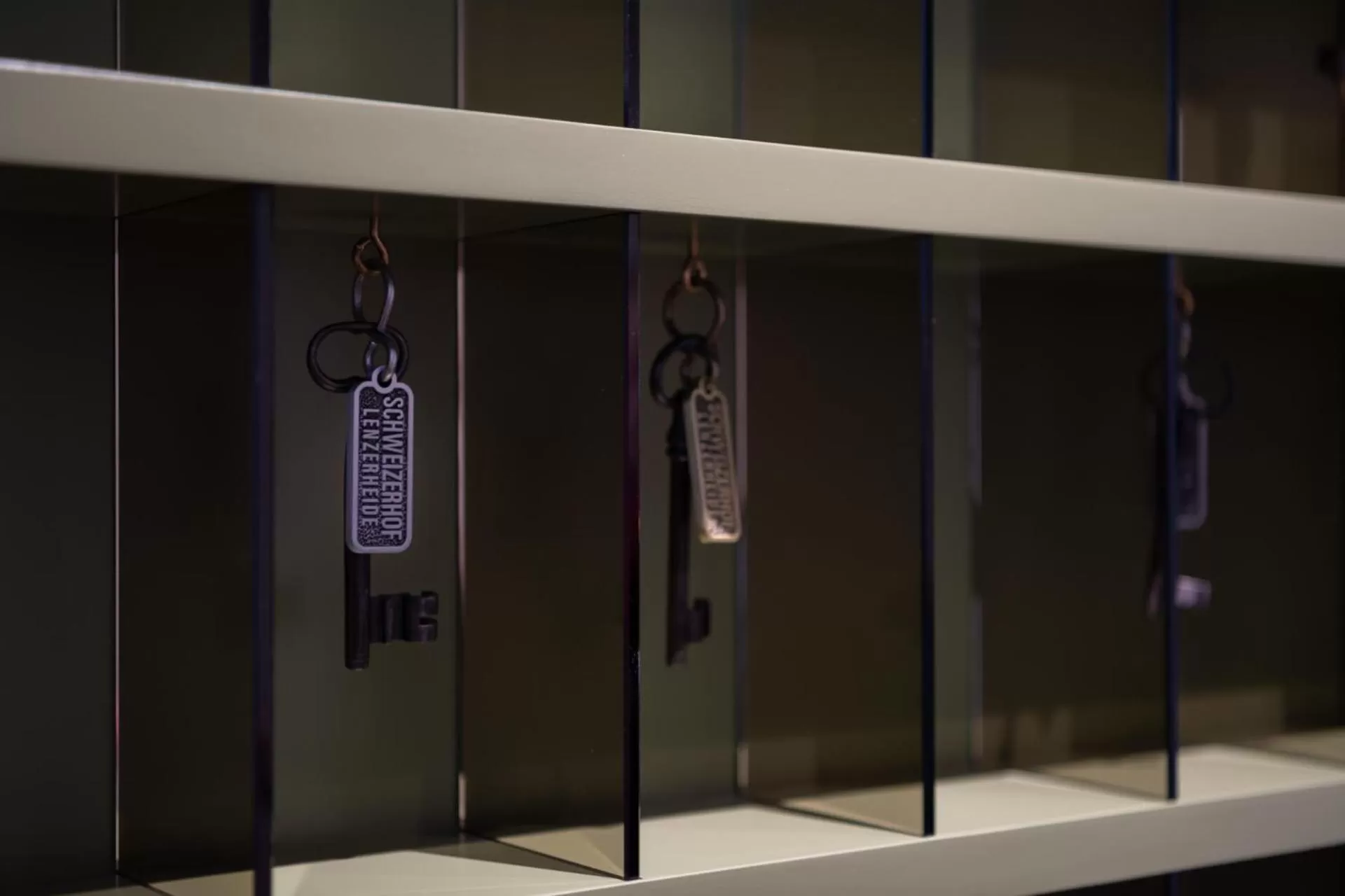 Lobby or reception in Hotel Schweizerhof Lenzerheide