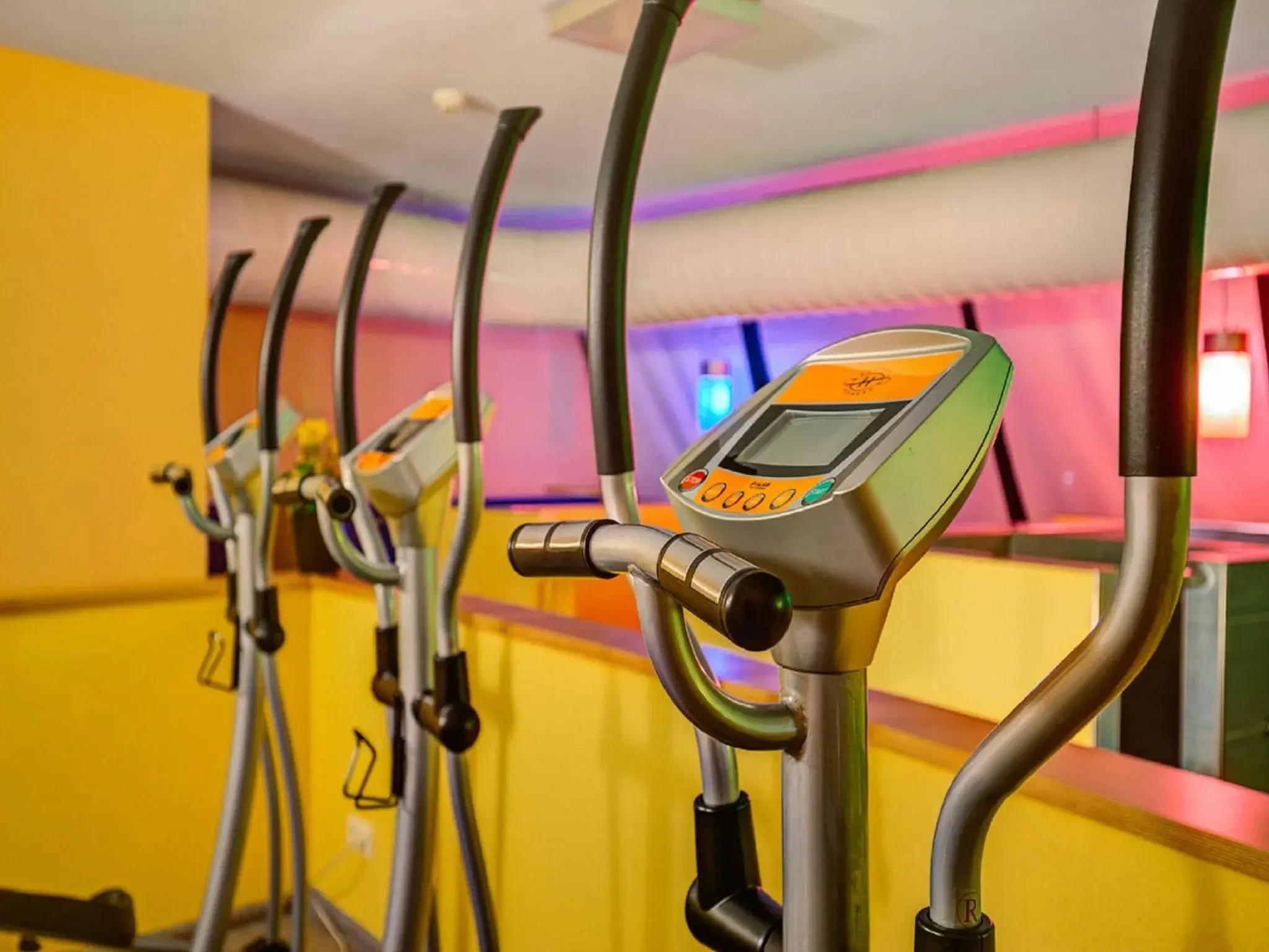 Fitness centre/facilities, Fitness Center/Facilities in Bodensee Yachthotel Schattmaier