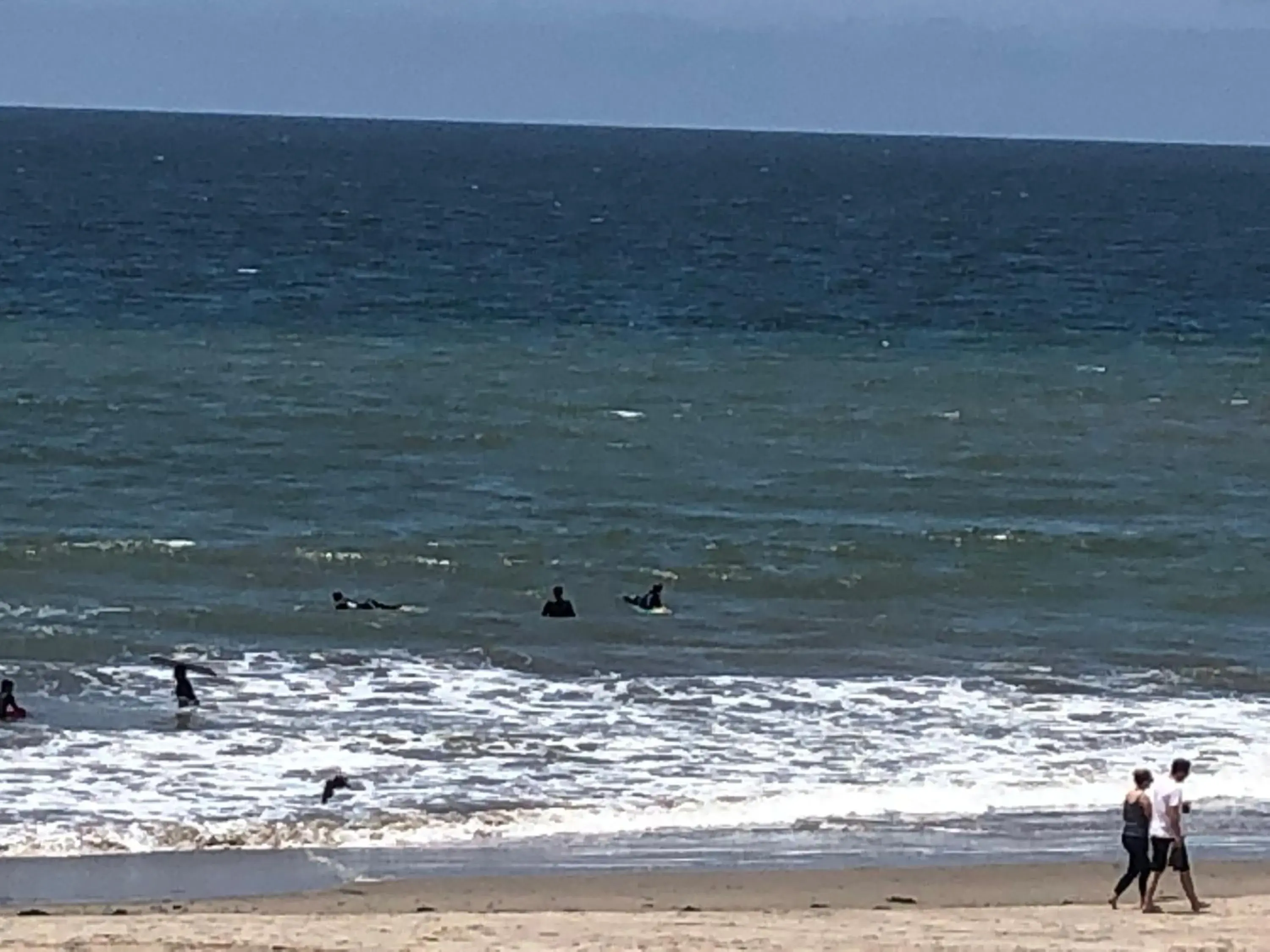 Natural landscape, Beach in The Shores Inn