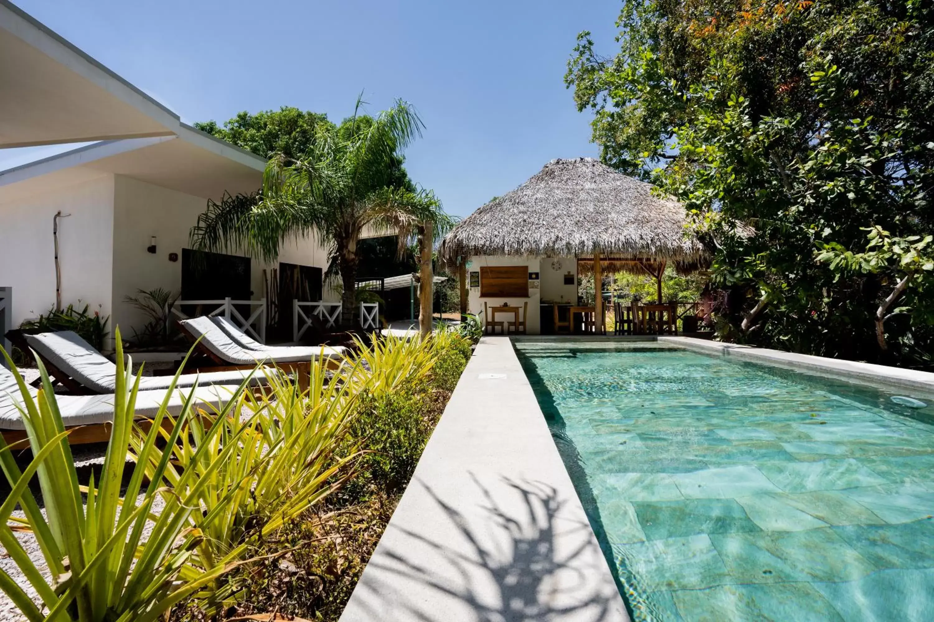 Swimming Pool in Antema Lodge Secteur Tamarindo, piscine, yoga, gym, jungle et paix