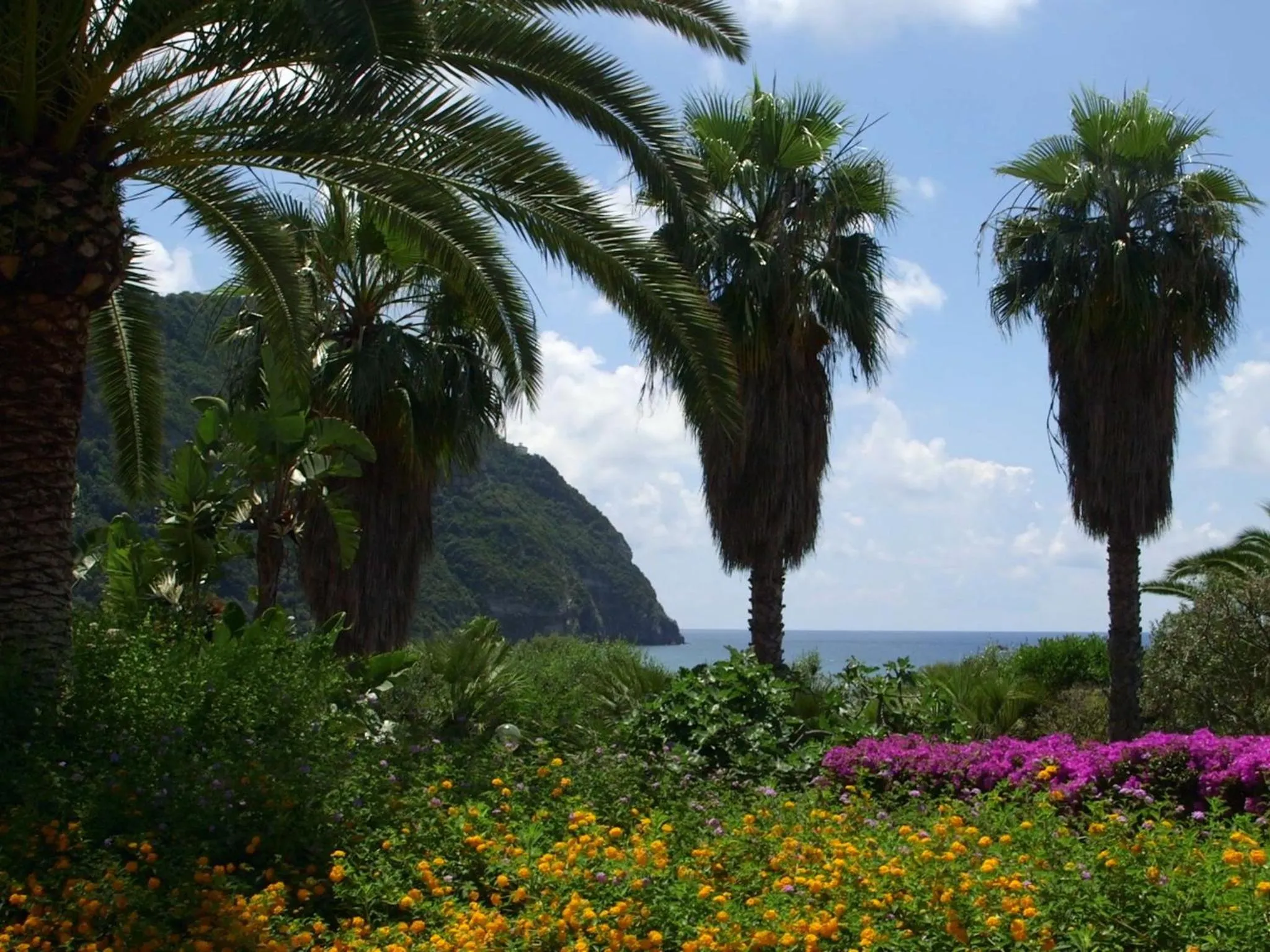 View (from property/room) in Semiramis Hotel De Charme & Pools