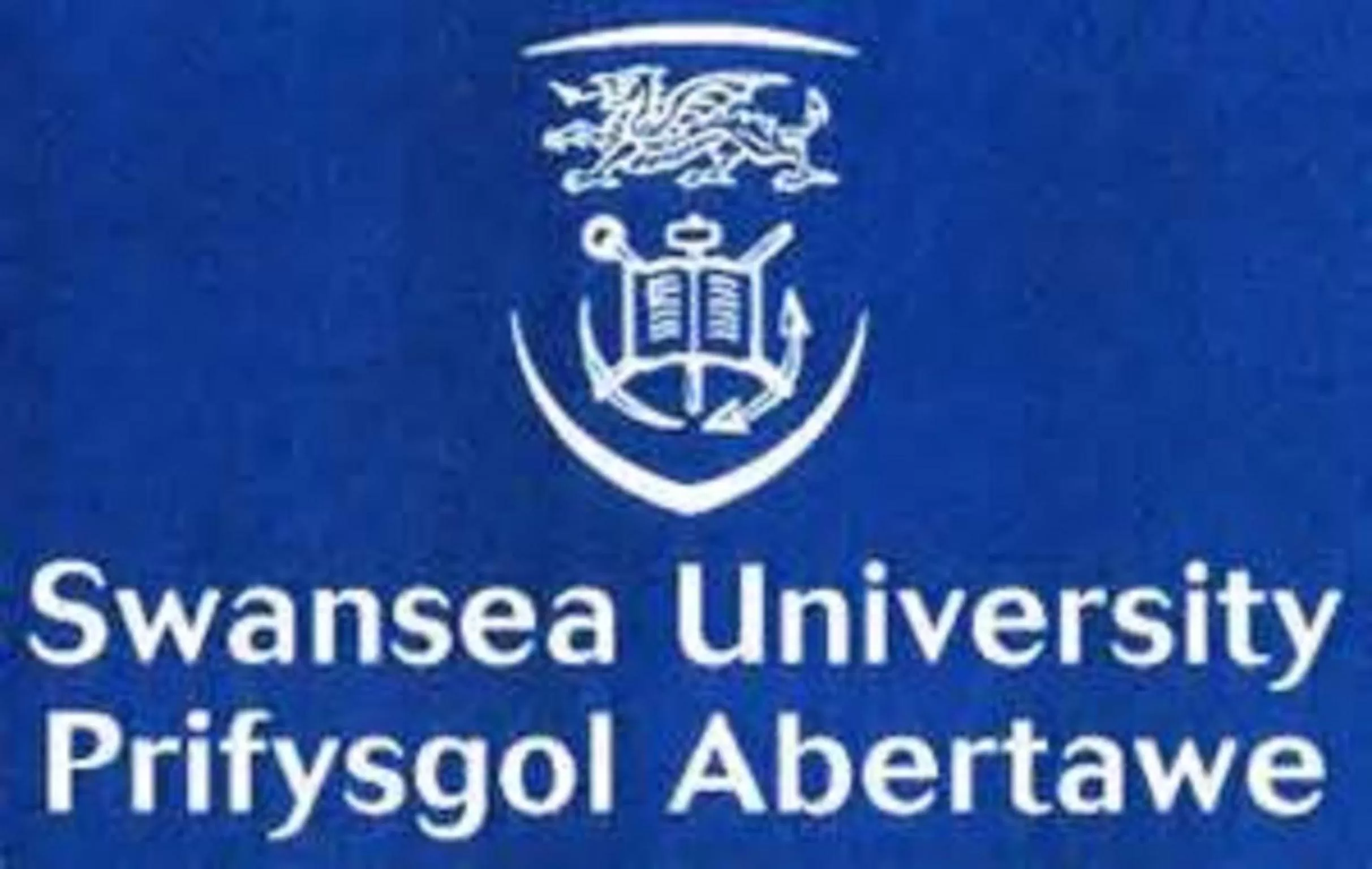 Decorative detail in Dolphin SA1