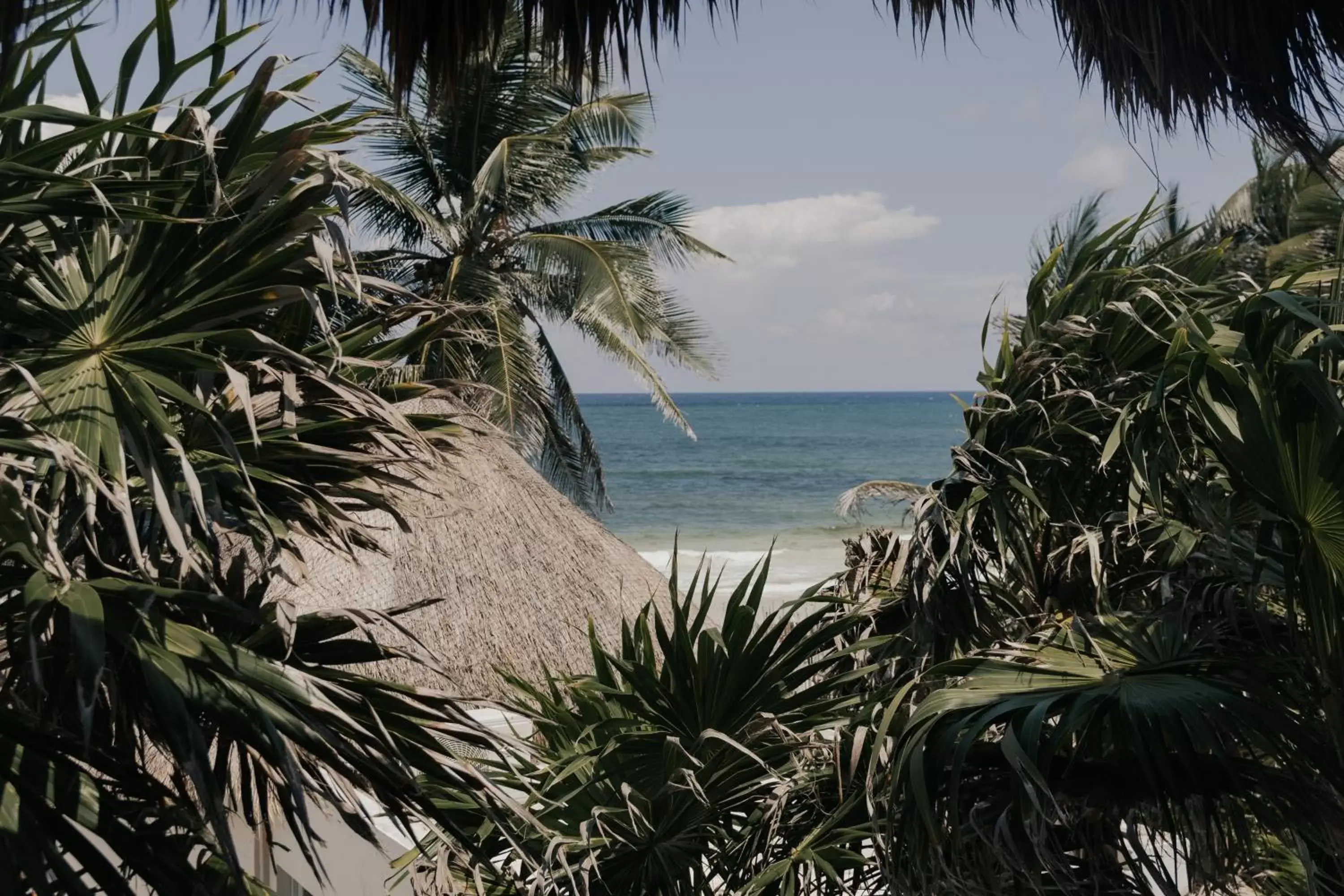 Sea view, Beach in Tuup Tulum Oceanfront or road side rooms