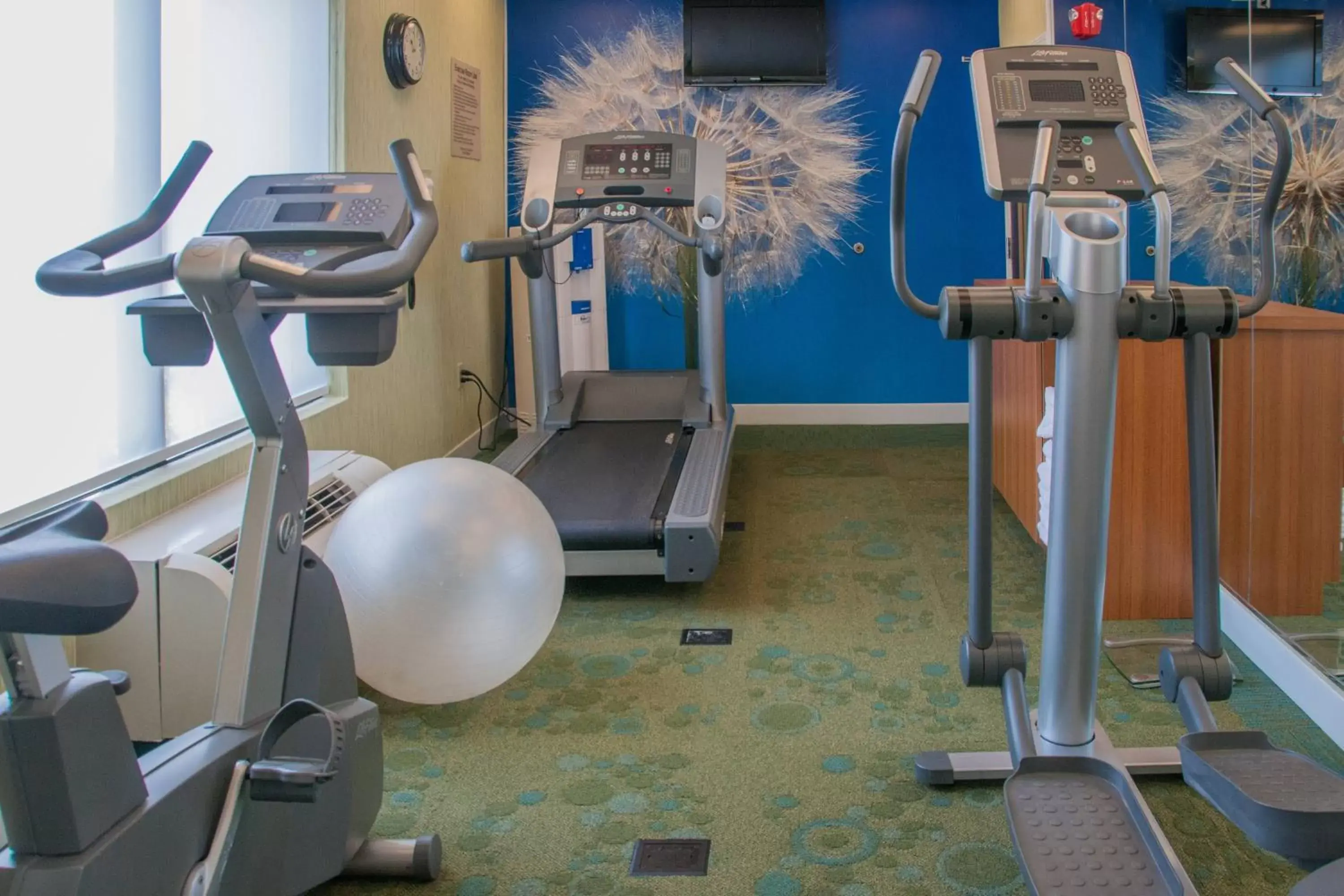 Fitness centre/facilities, Fitness Center/Facilities in SpringHill Suites by Marriott Colorado Springs South
