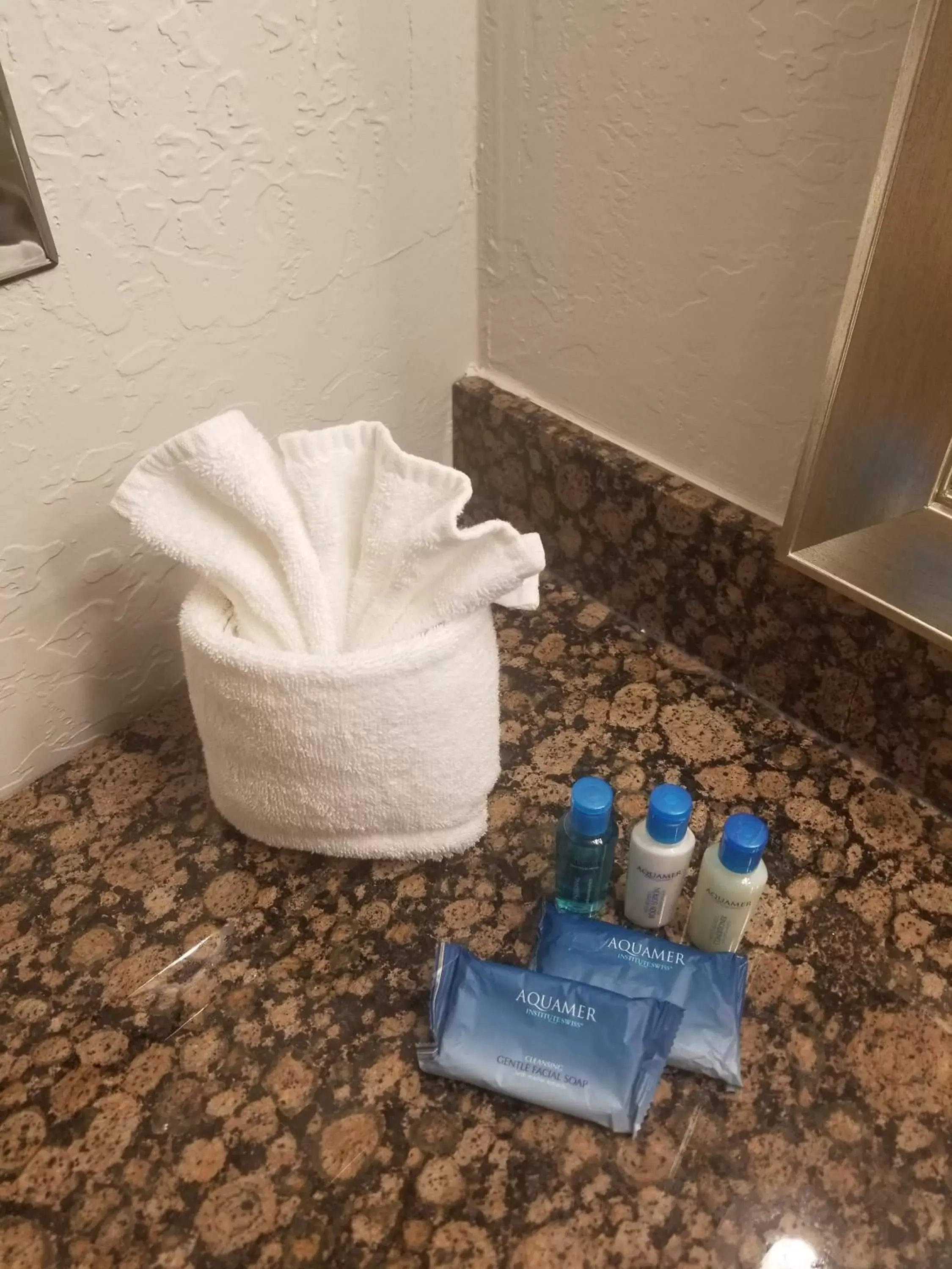 Bathroom in Best Western InnSuites Phoenix Hotel & Suites