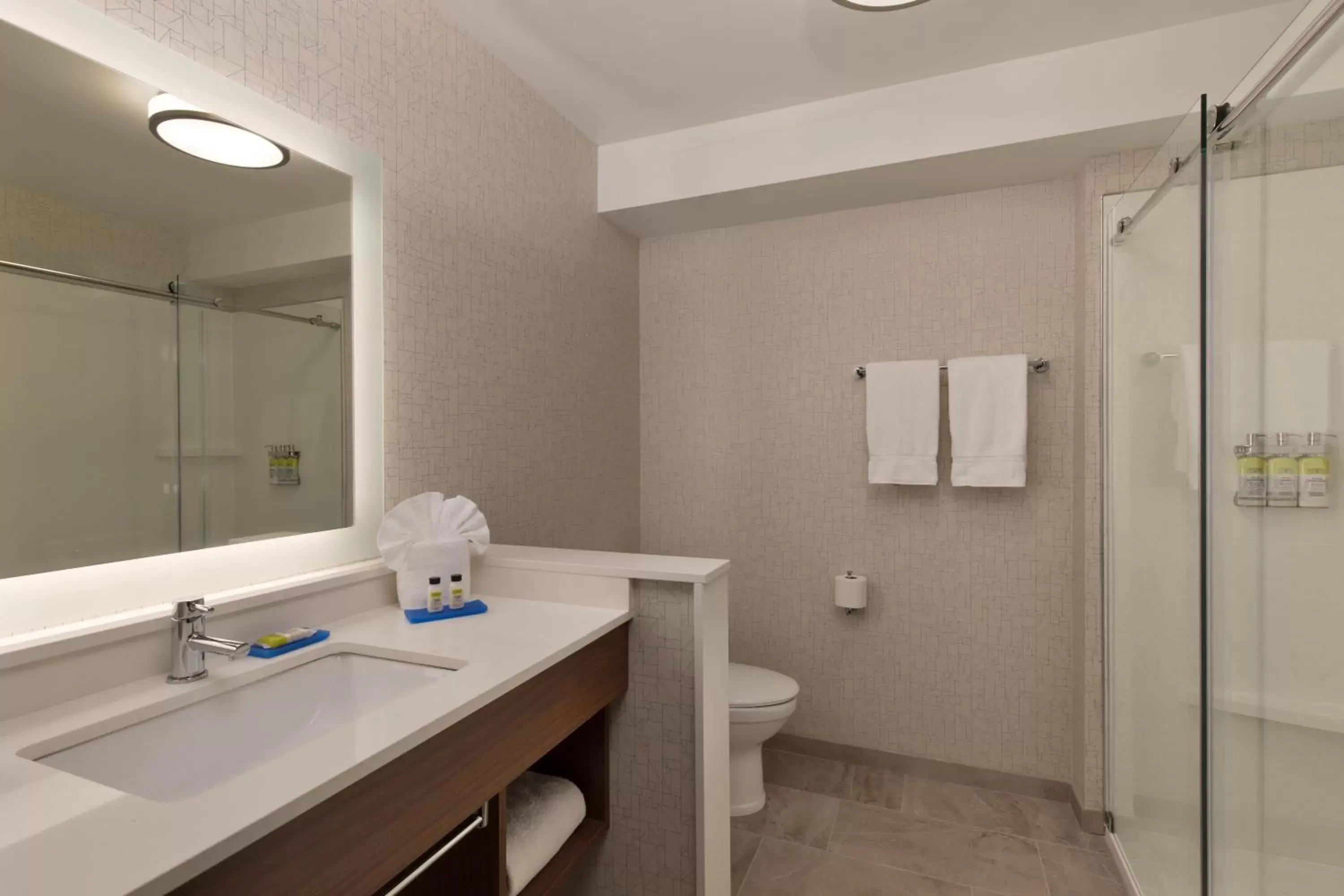 Bathroom in Holiday Inn Express & Suites - Portland Airport - Cascade Stn, an IHG Hotel