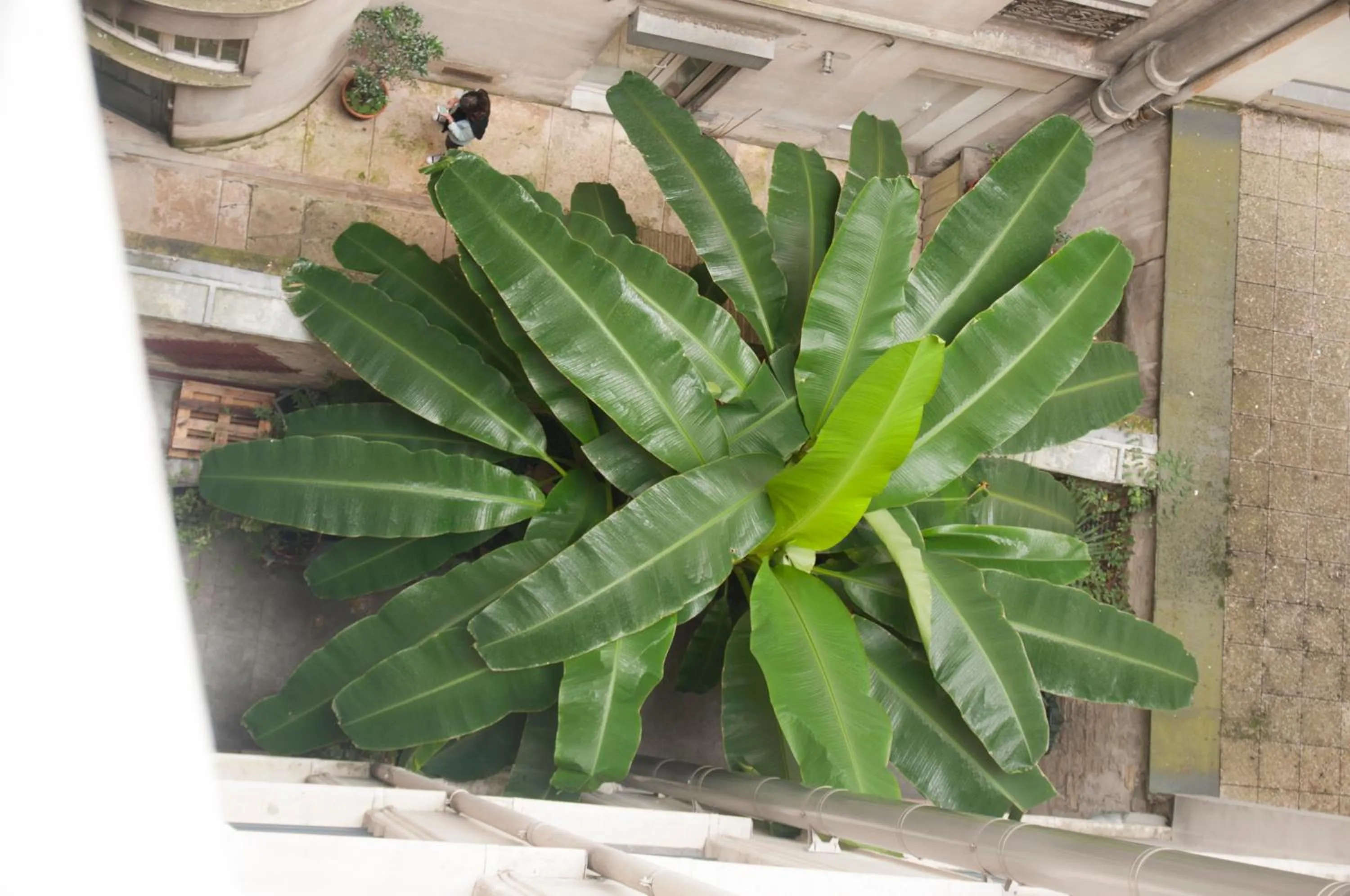 Garden in Grand Hôtel Malher
