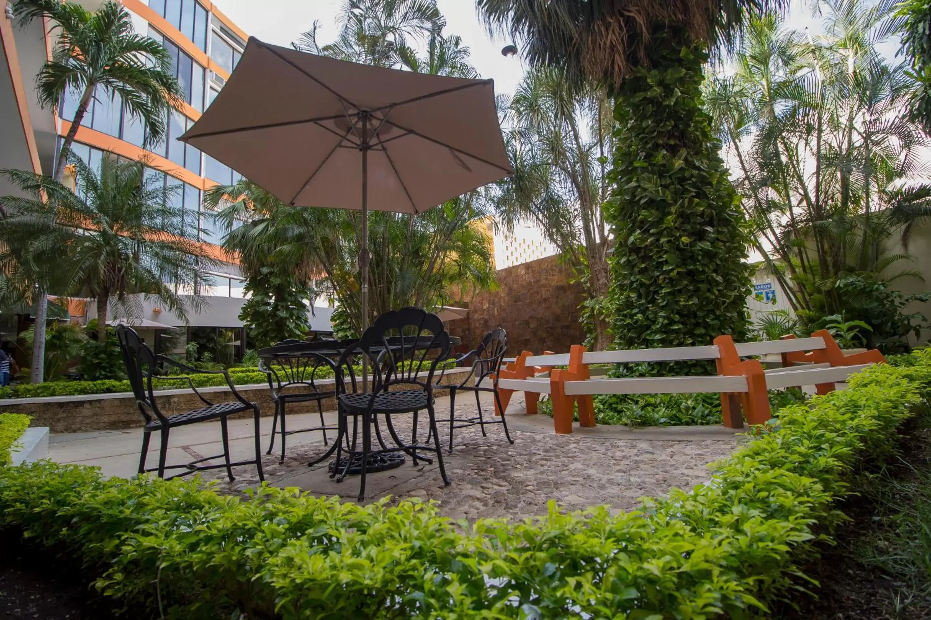 Garden in Hotel Ambassador Mérida