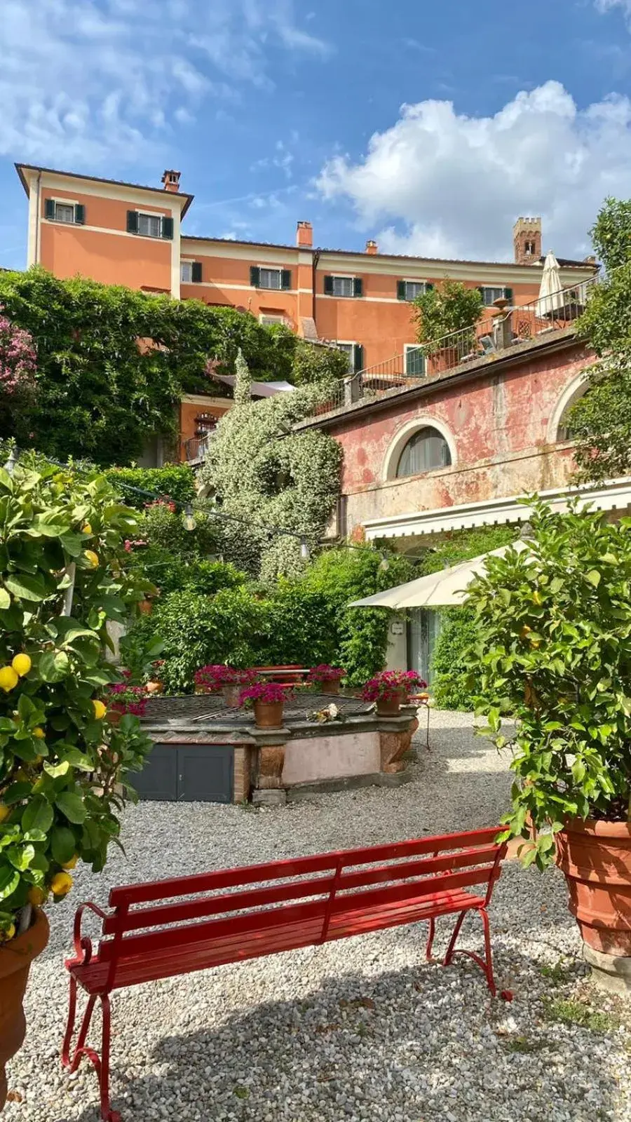 Garden in Hotel Villa Sermolli