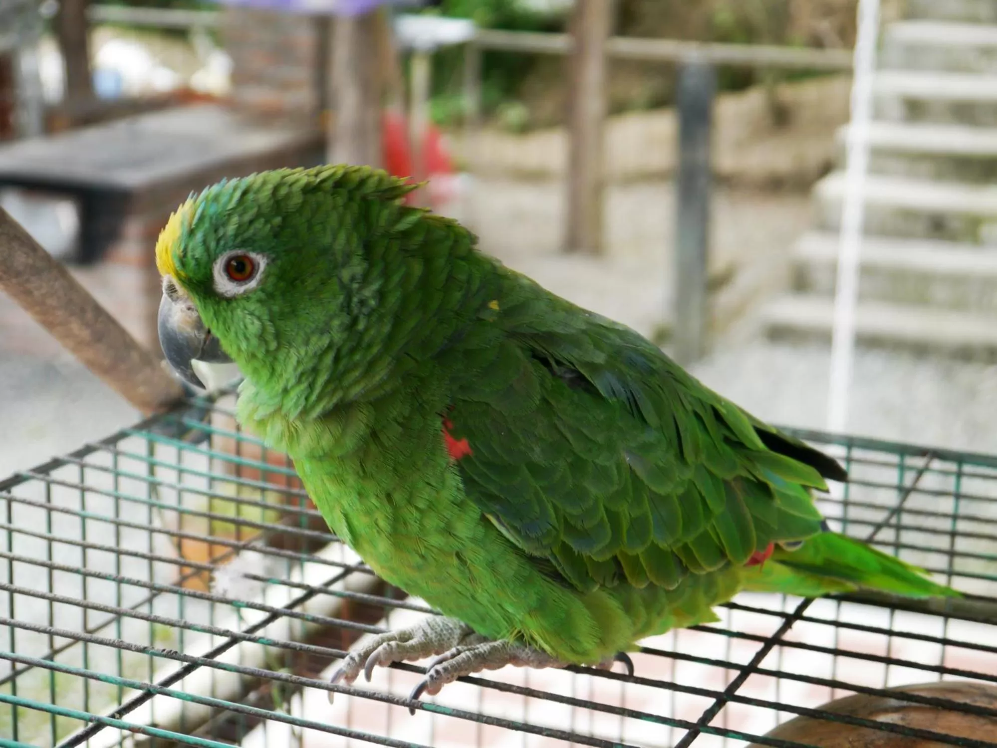 Off site in Finca Campestre La Adelita B&B