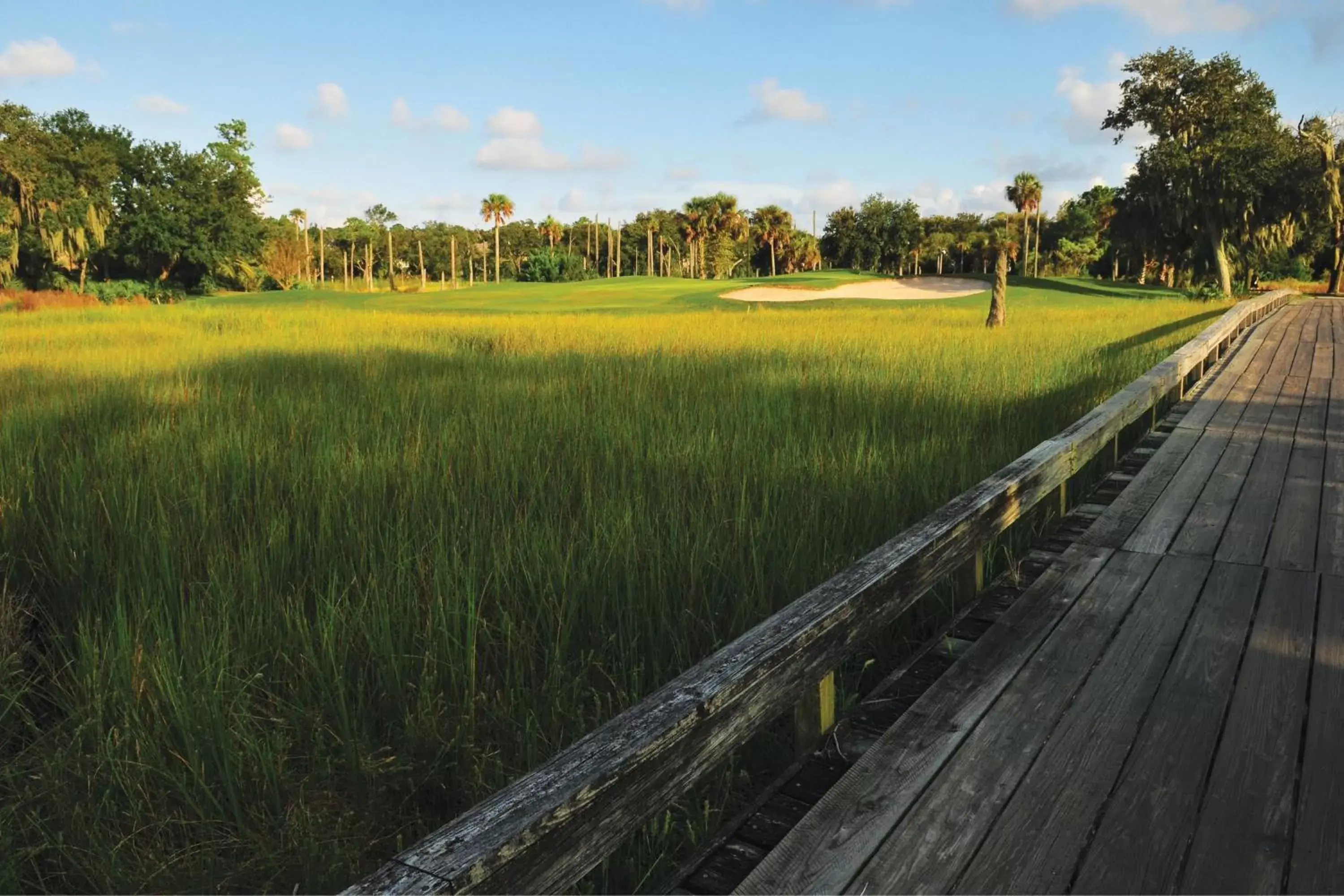 Golfcourse in Sawgrass Marriott Golf Resort & Spa