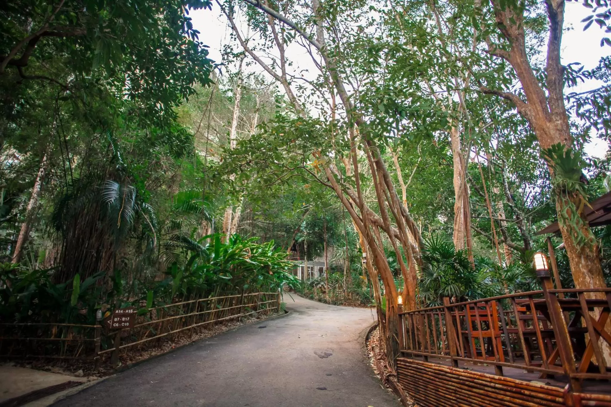 Garden in Aonang Cliff View Resort SHA Extra Plus