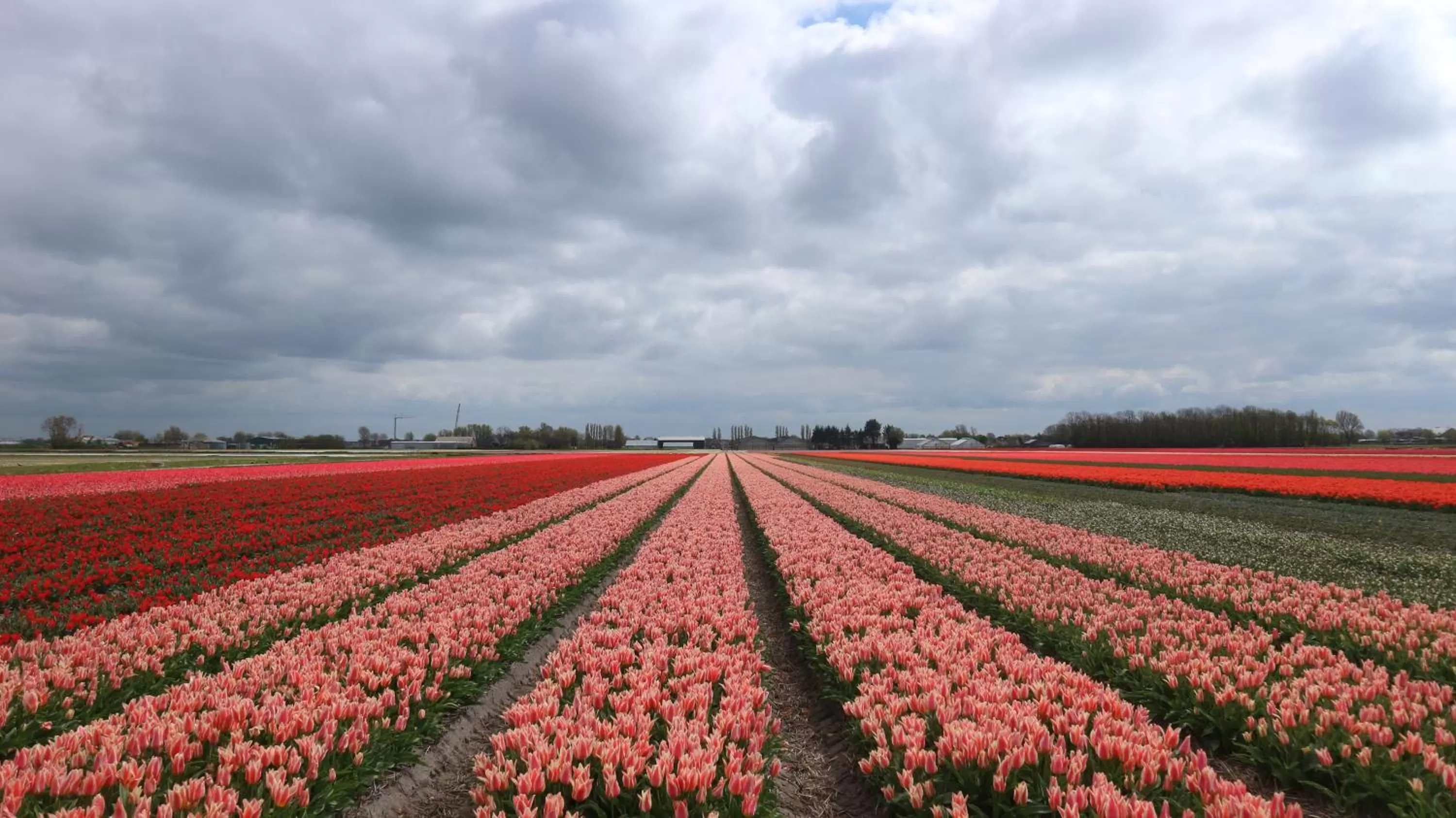 Nearby landmark in SEA MORE