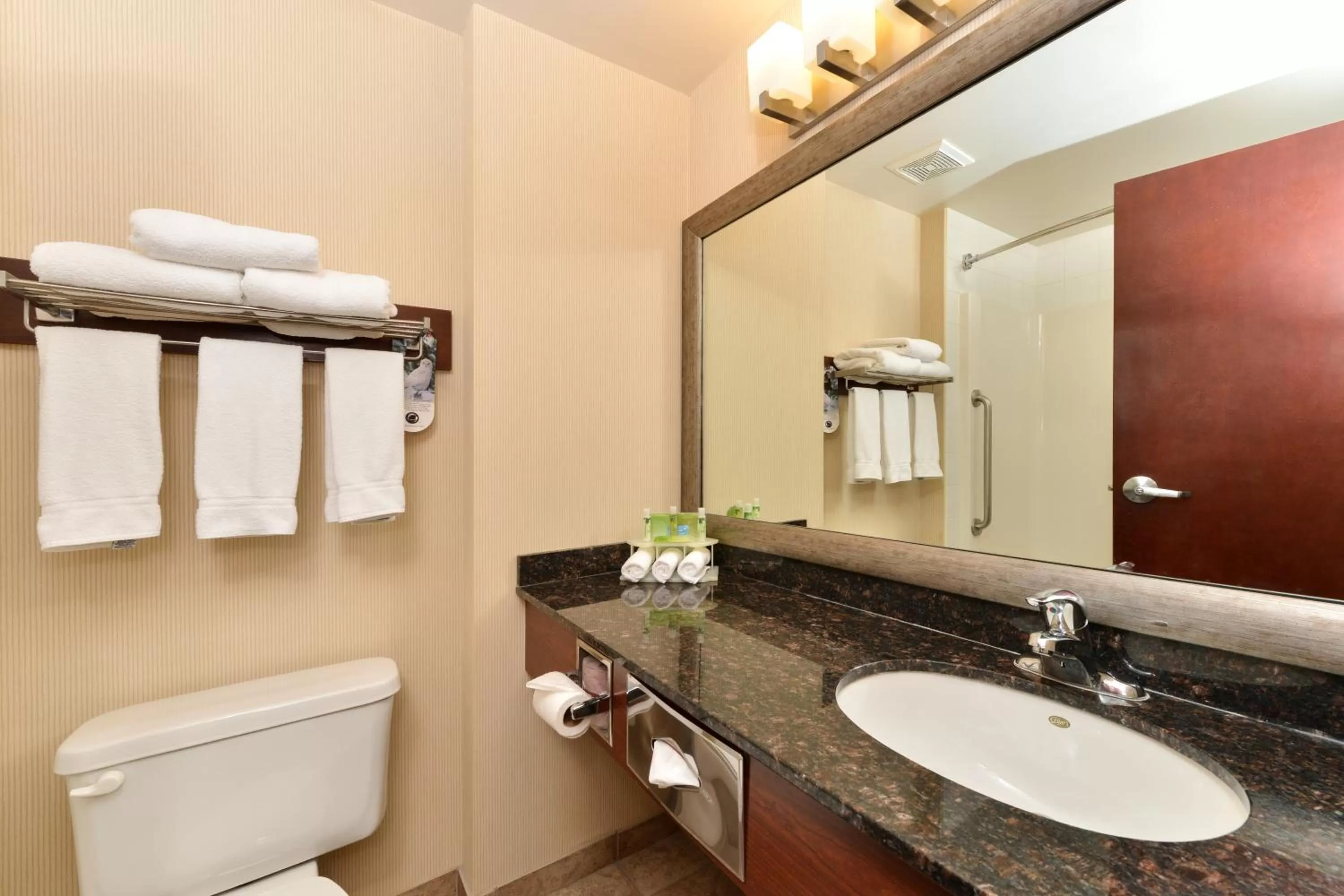 Bathroom in Holiday Inn Express Edmonton North by IHG