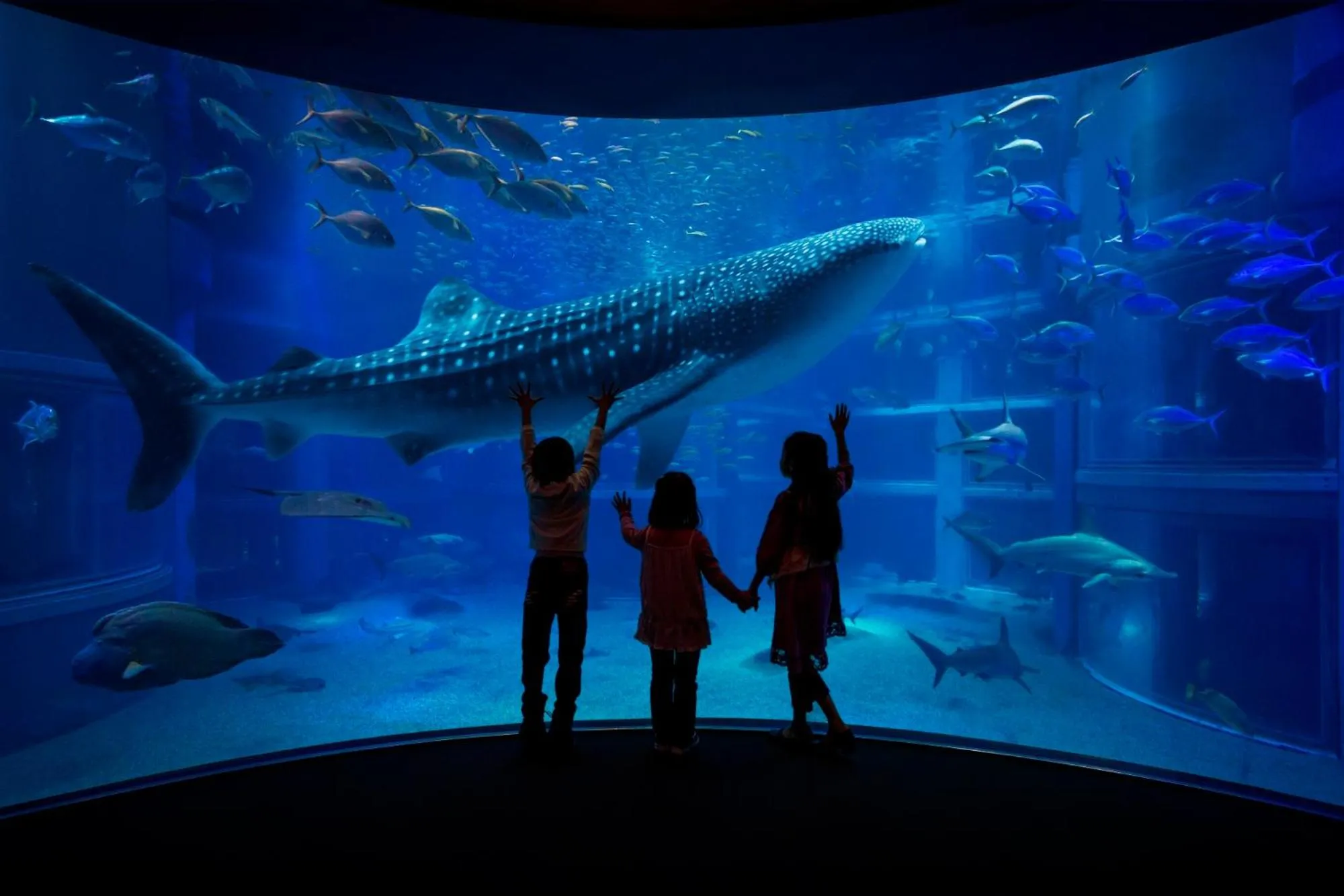 Aqua park in Hotel Sunplaza