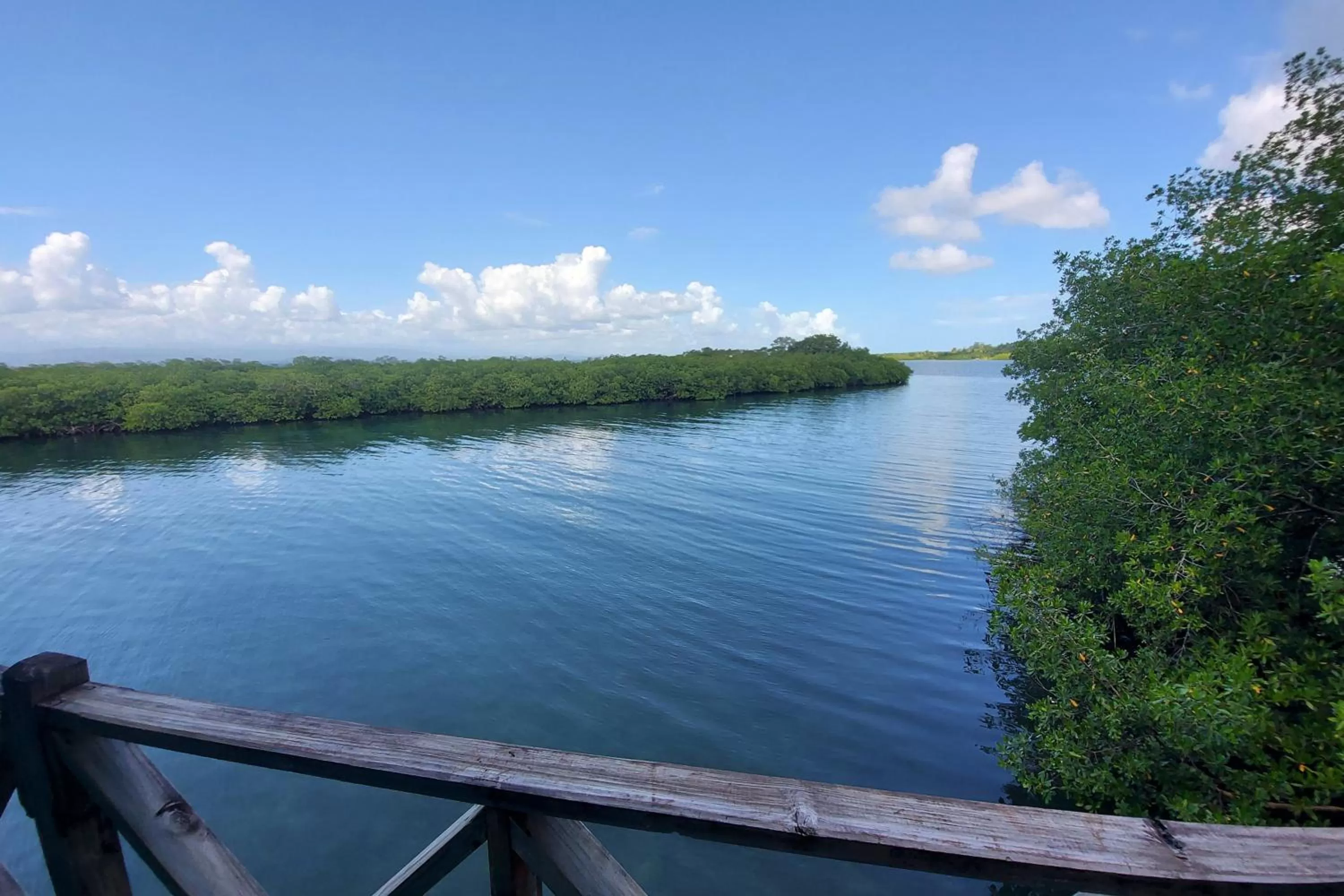 Sea view in The Sunsetter Bed & Breakfast