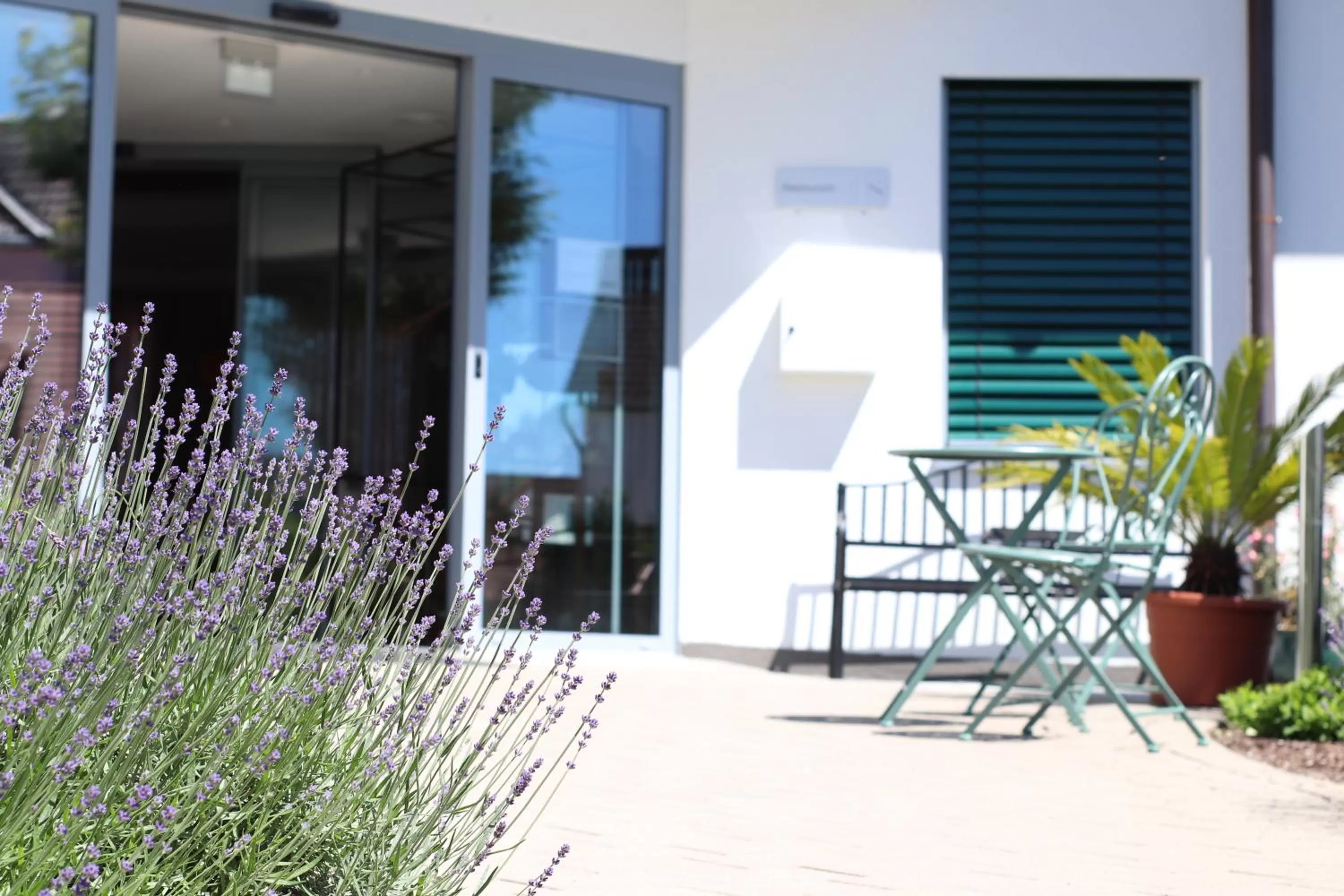 Patio in Restaurant & Hotel Einhorn