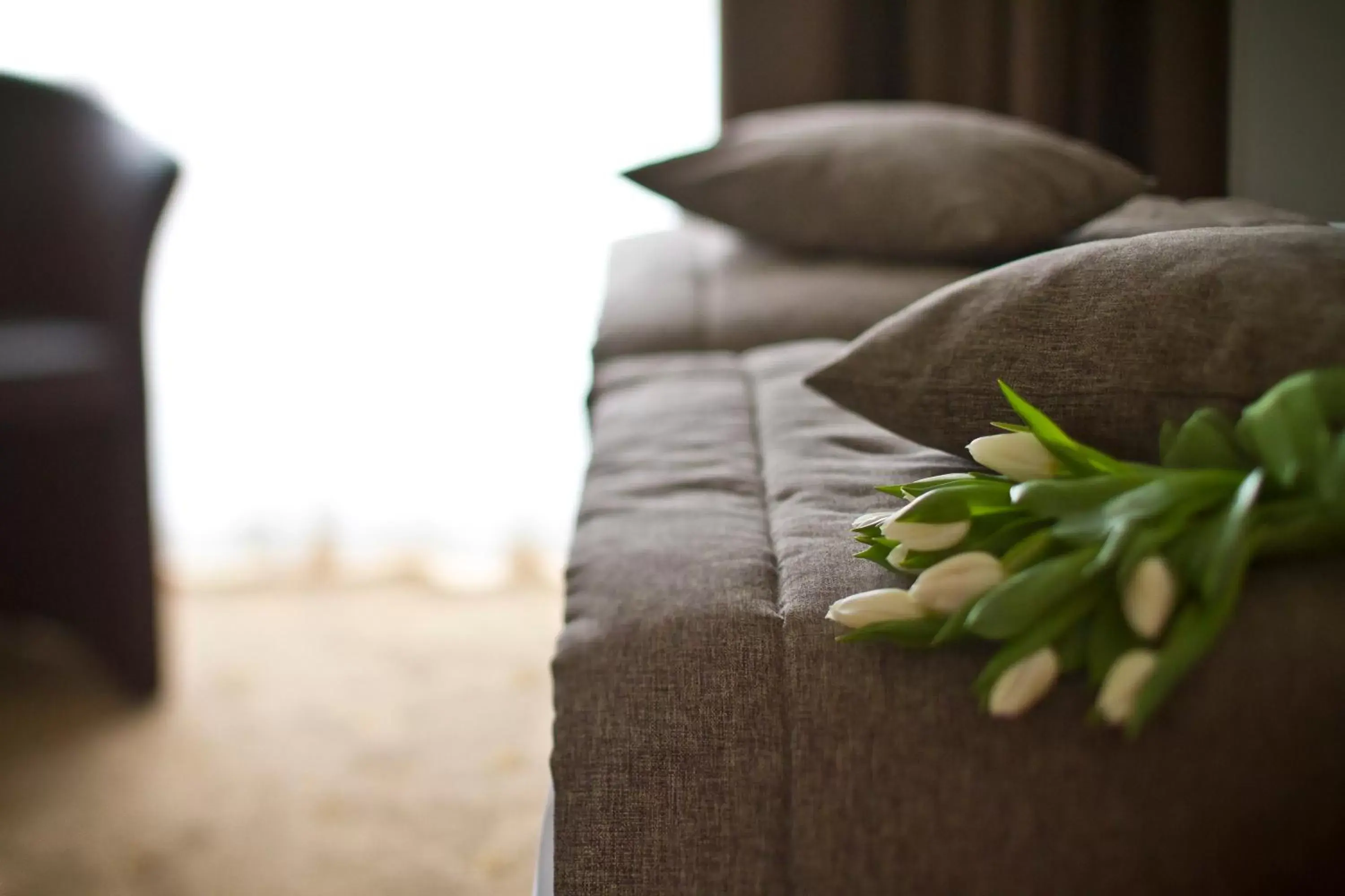 Decorative detail, Bed in Hotel Eurorest