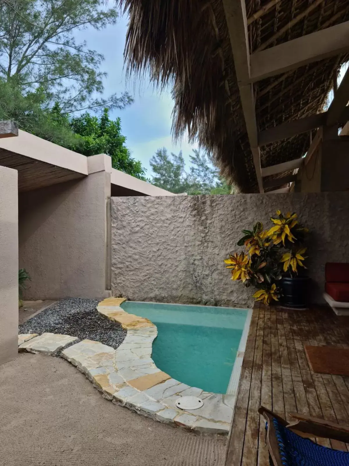 Swimming Pool in Isla Tajín