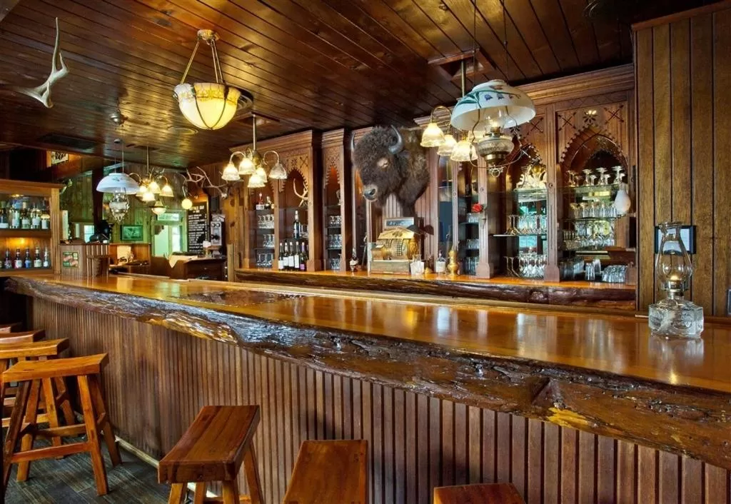 Lounge or bar in Narrow Gauge Inn