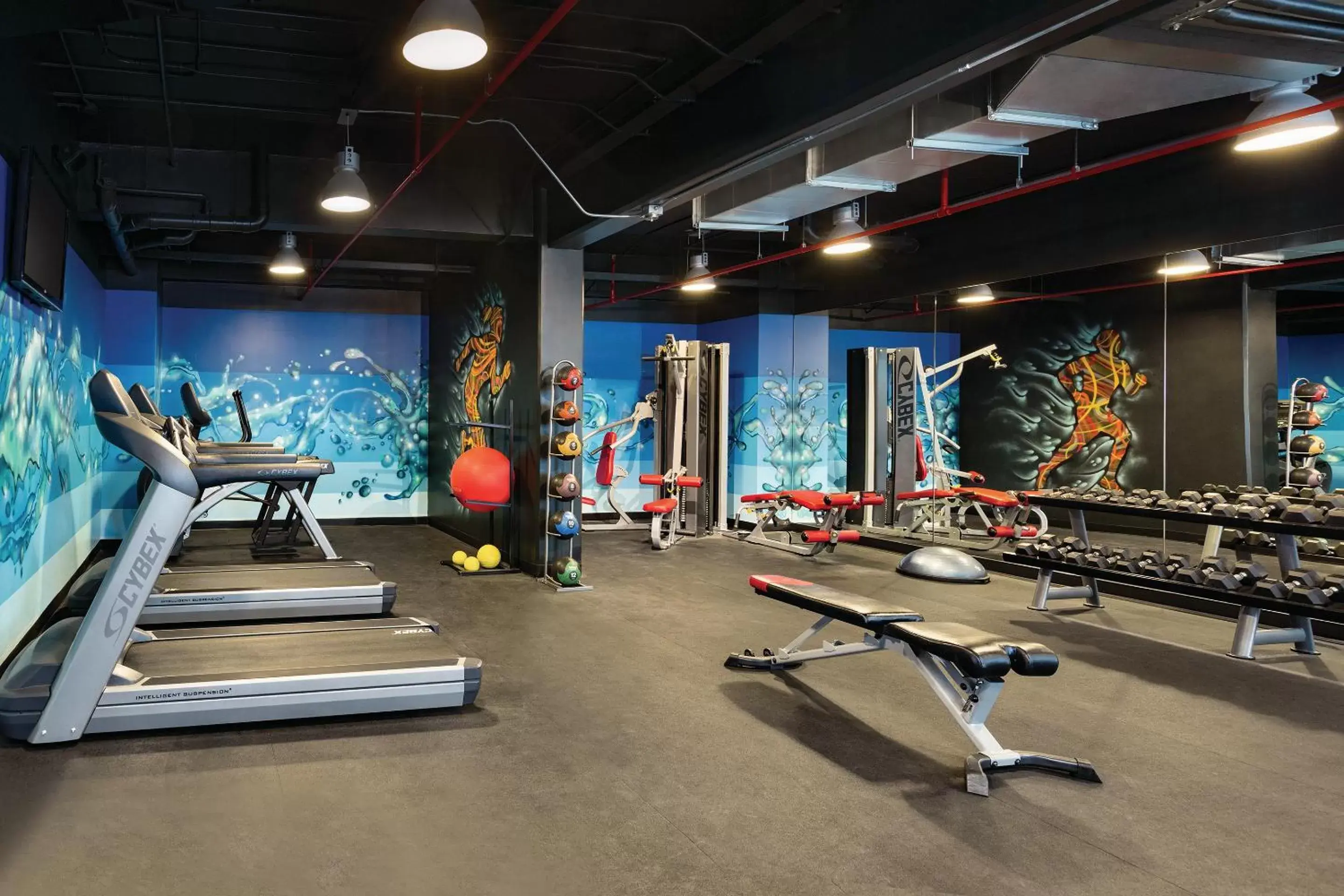 Fitness centre/facilities, Fitness Center/Facilities in Park Inn San Jose by Radisson