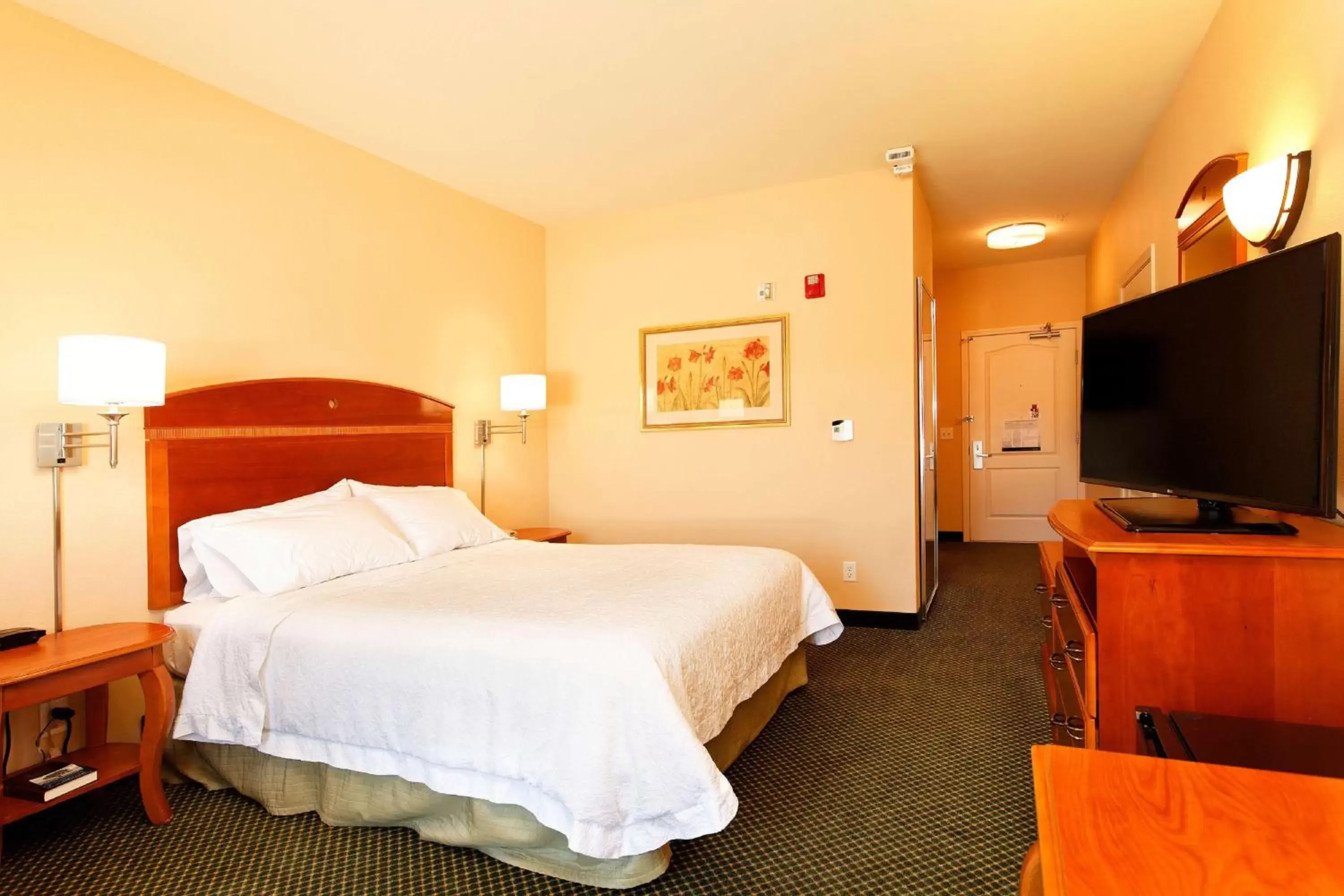 Bedroom, Bed in Hampton Inn Montrose