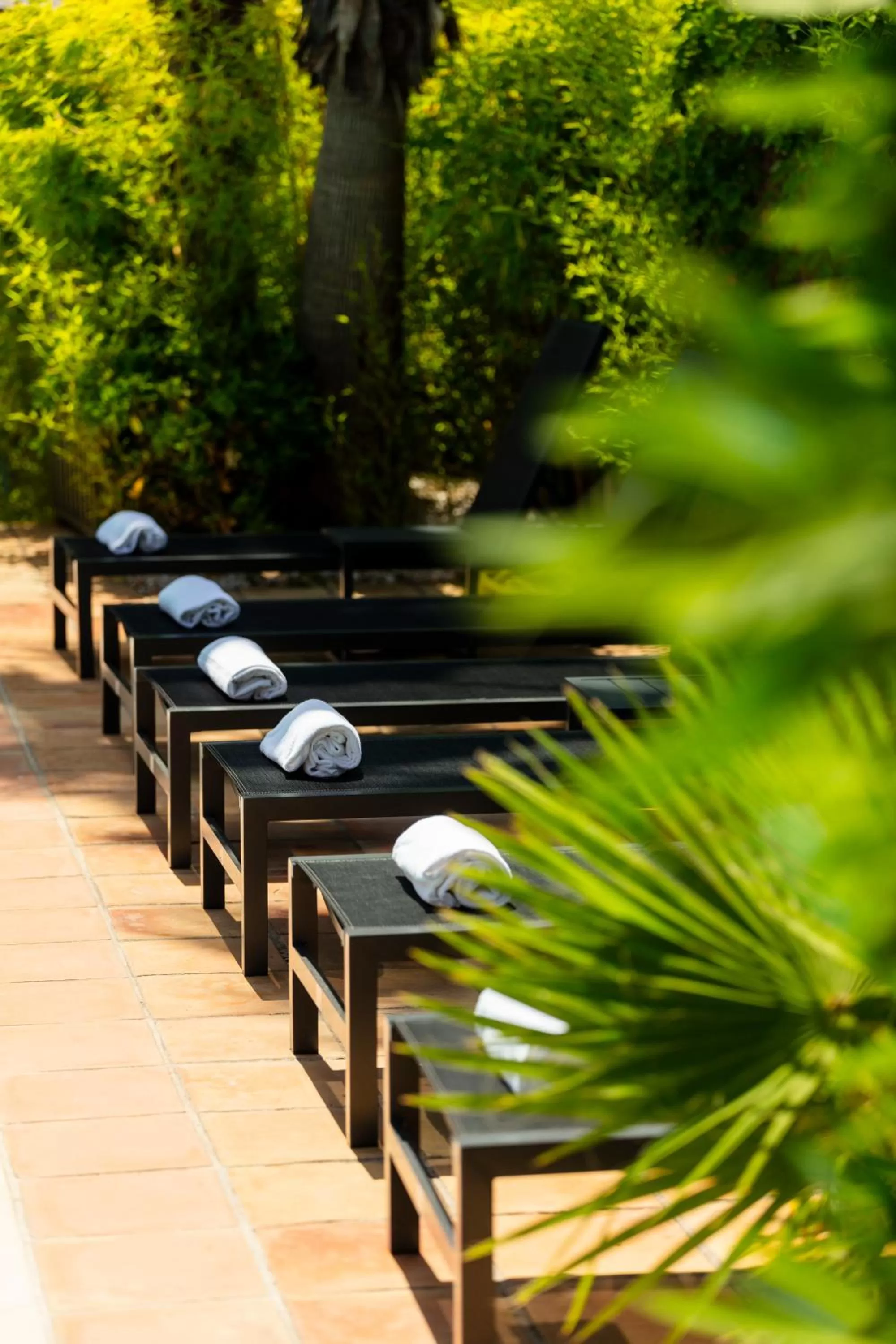 Spring in Hôtel l'Arena