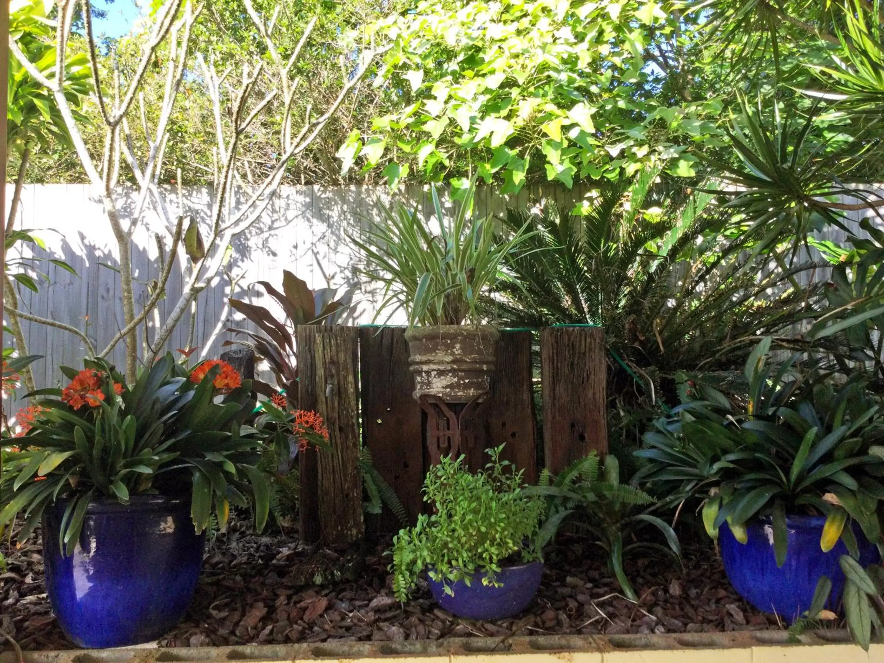 Garden in Alstonville Settlers Motel