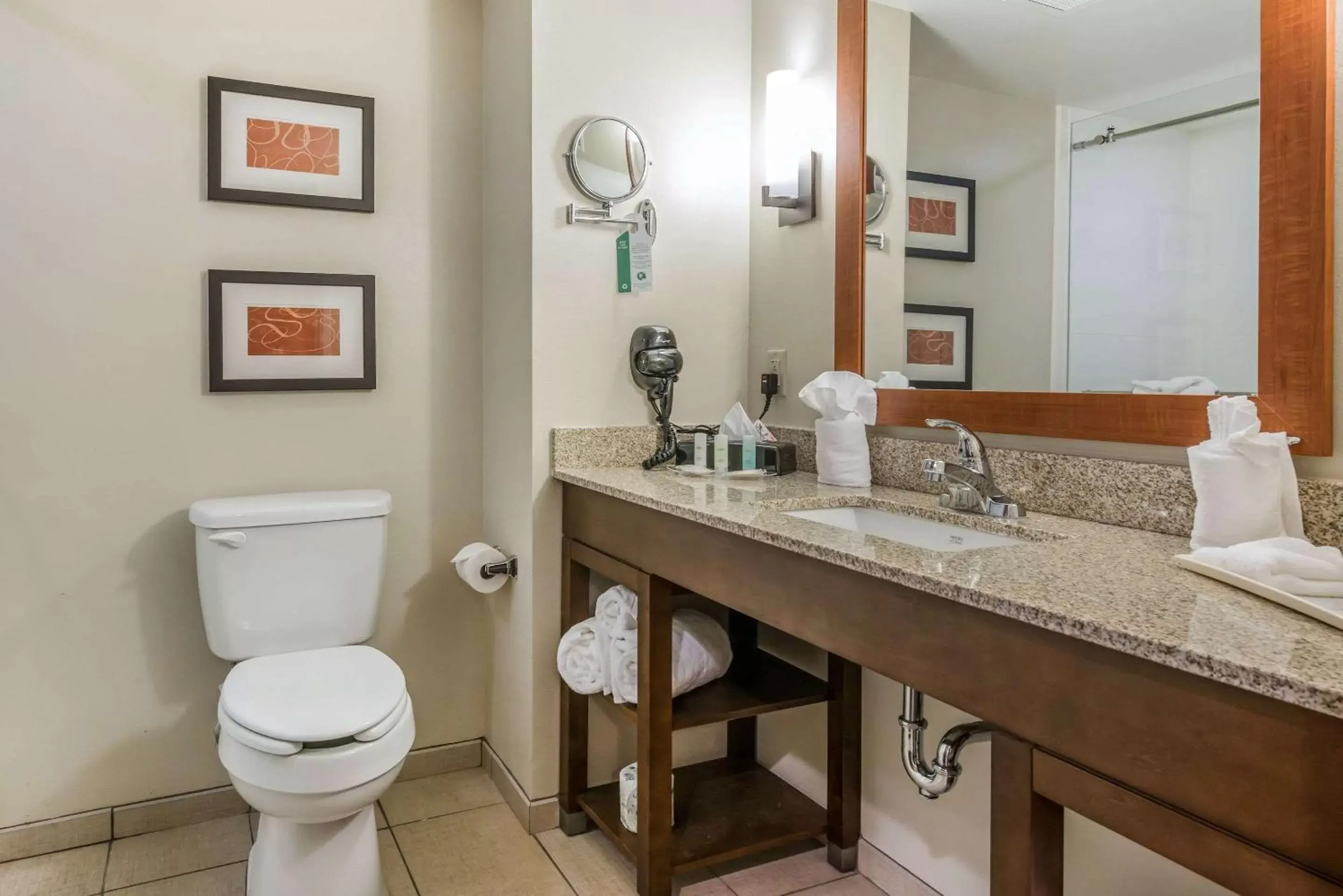 Bathroom in Comfort Suites near Rainbow Springs Dunnellon