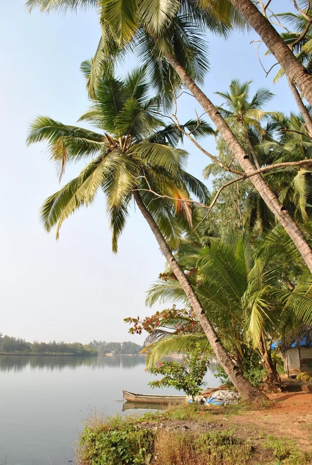 River view in M aples Jacks Place