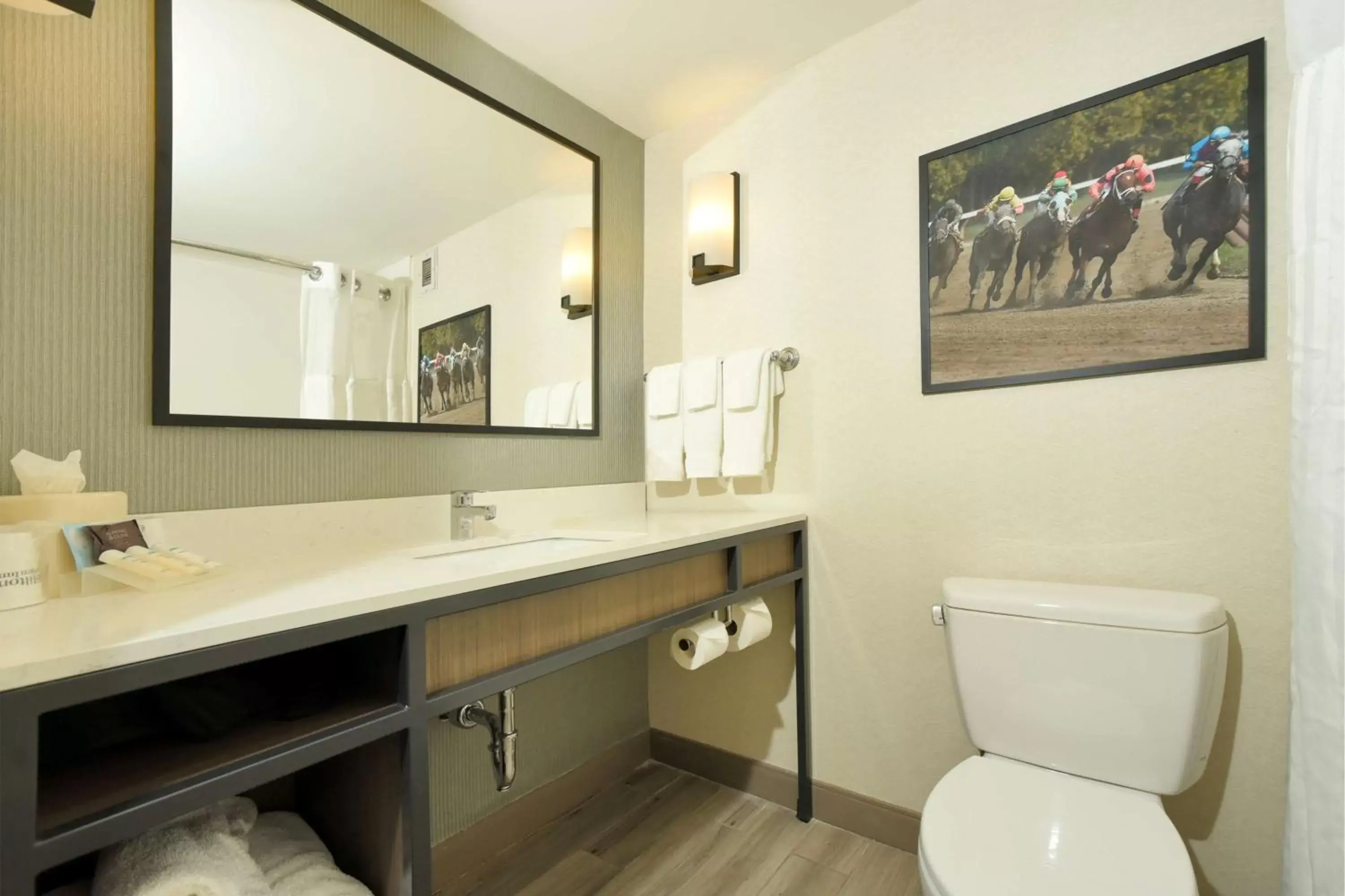 Bathroom in Hilton Garden Inn Saratoga Springs