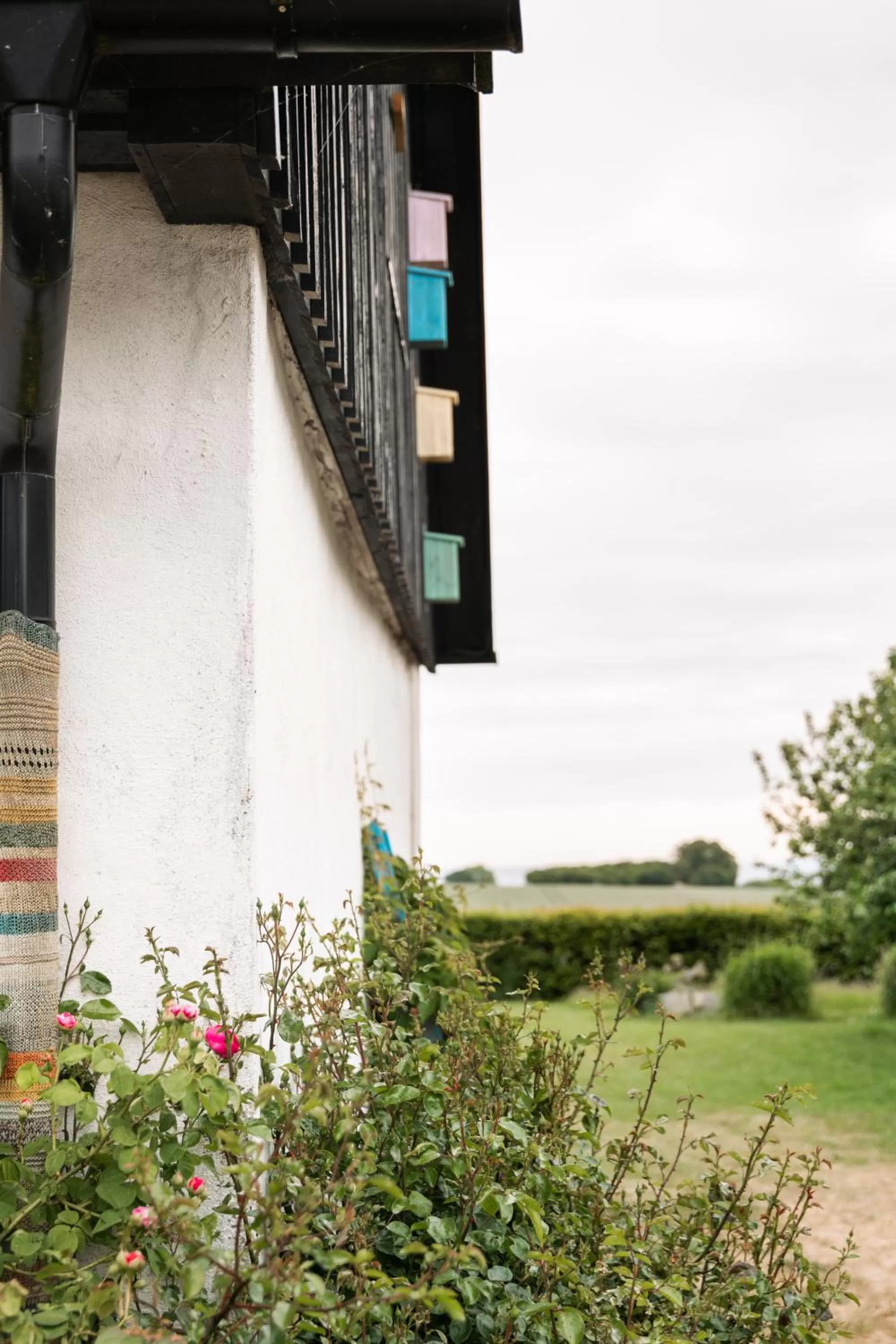 Garden in Sköllengården