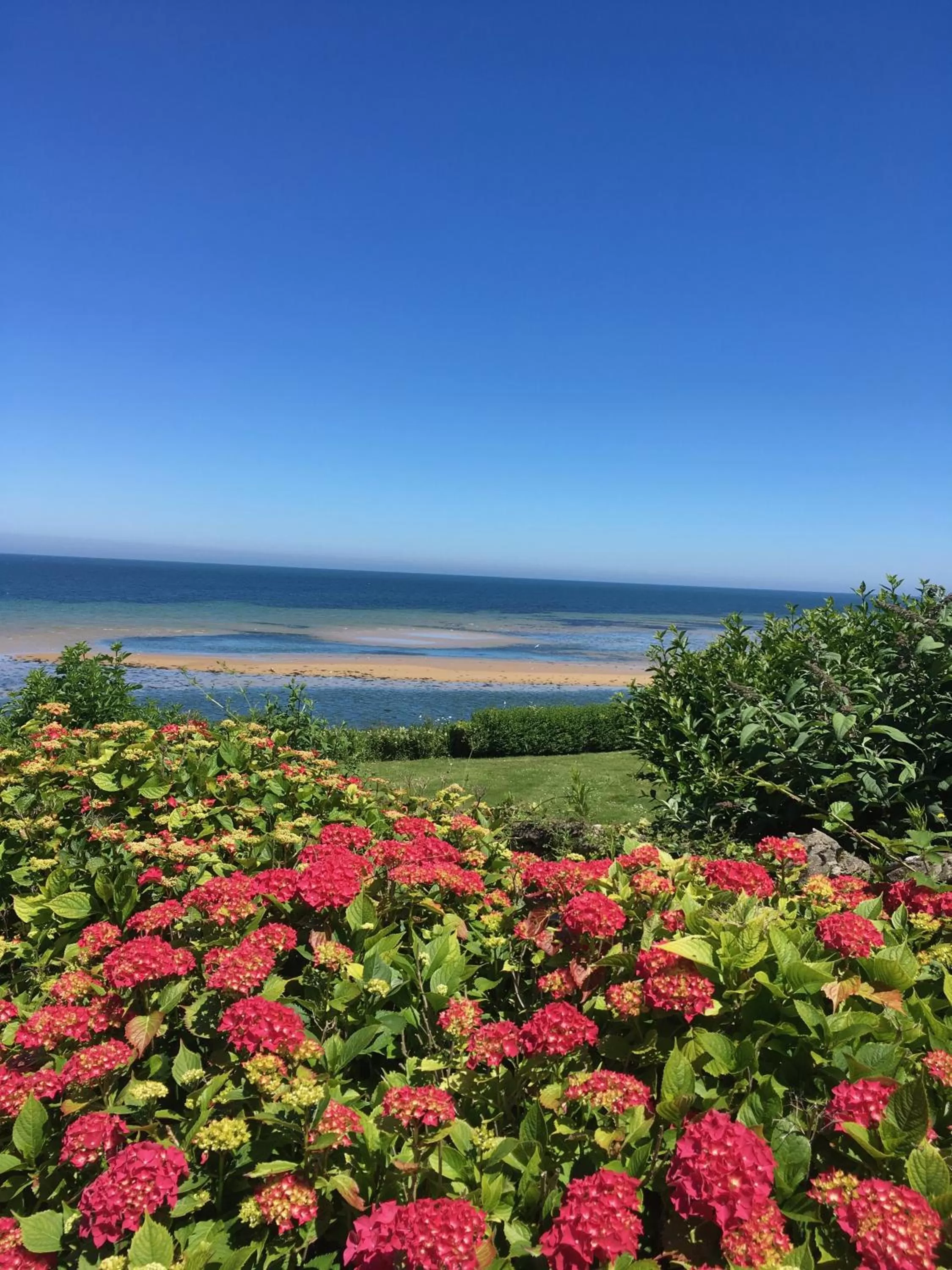 Garden in Chambres d'hôtes Les 4 Vents Pointe du Hoc - Landing Beaches