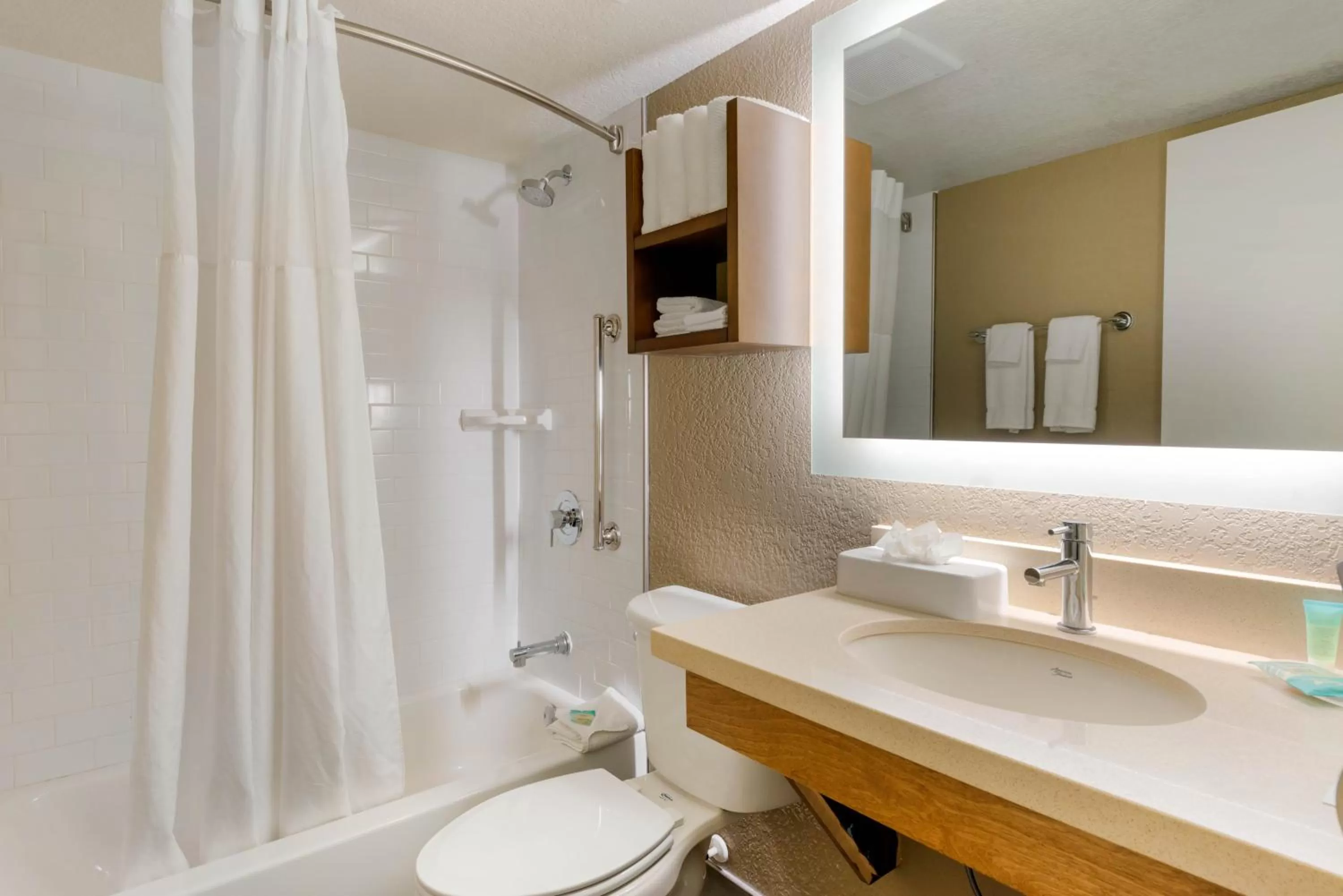 Bathroom in Staybridge Suites Orlando Royale Parc Suites by IHG