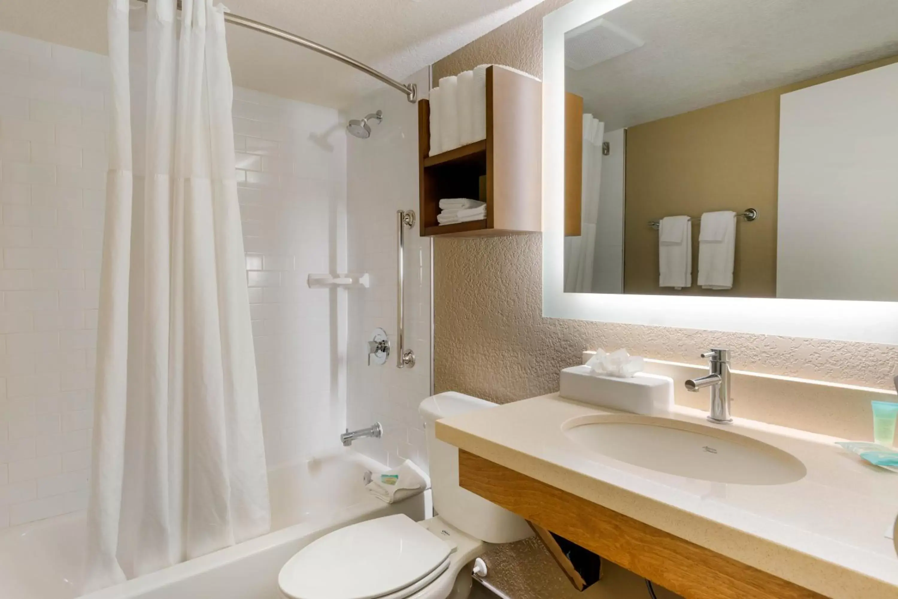 Bathroom in Staybridge Suites Orlando Royale Parc Suites, an IHG Hotel
