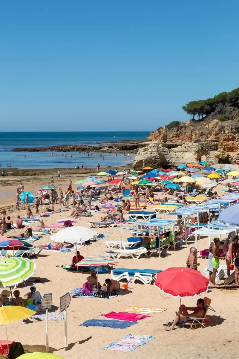 Natural landscape, Beach in Apartamentos Do Parque