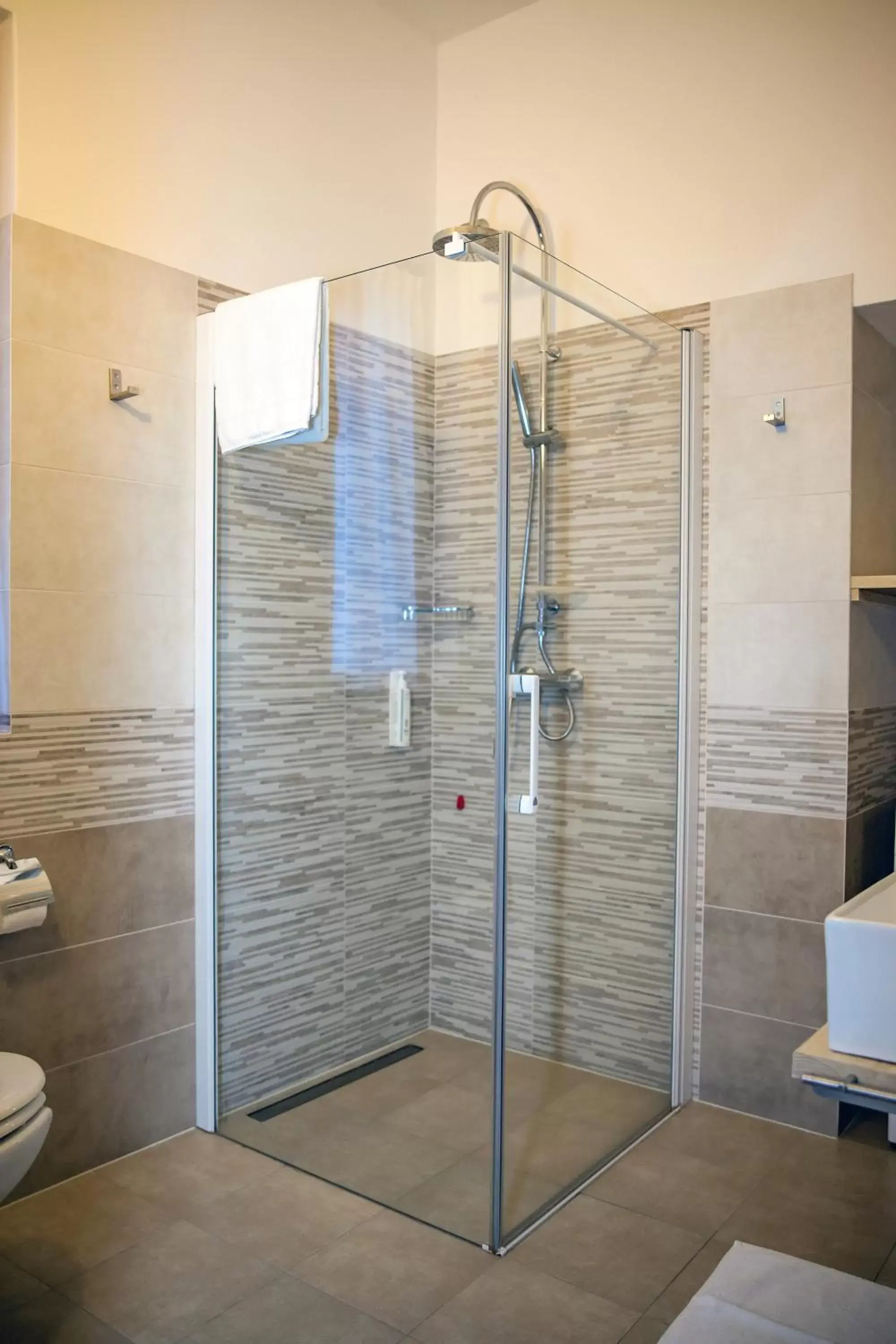 Shower, Bathroom in Hotel Garni Le Corti