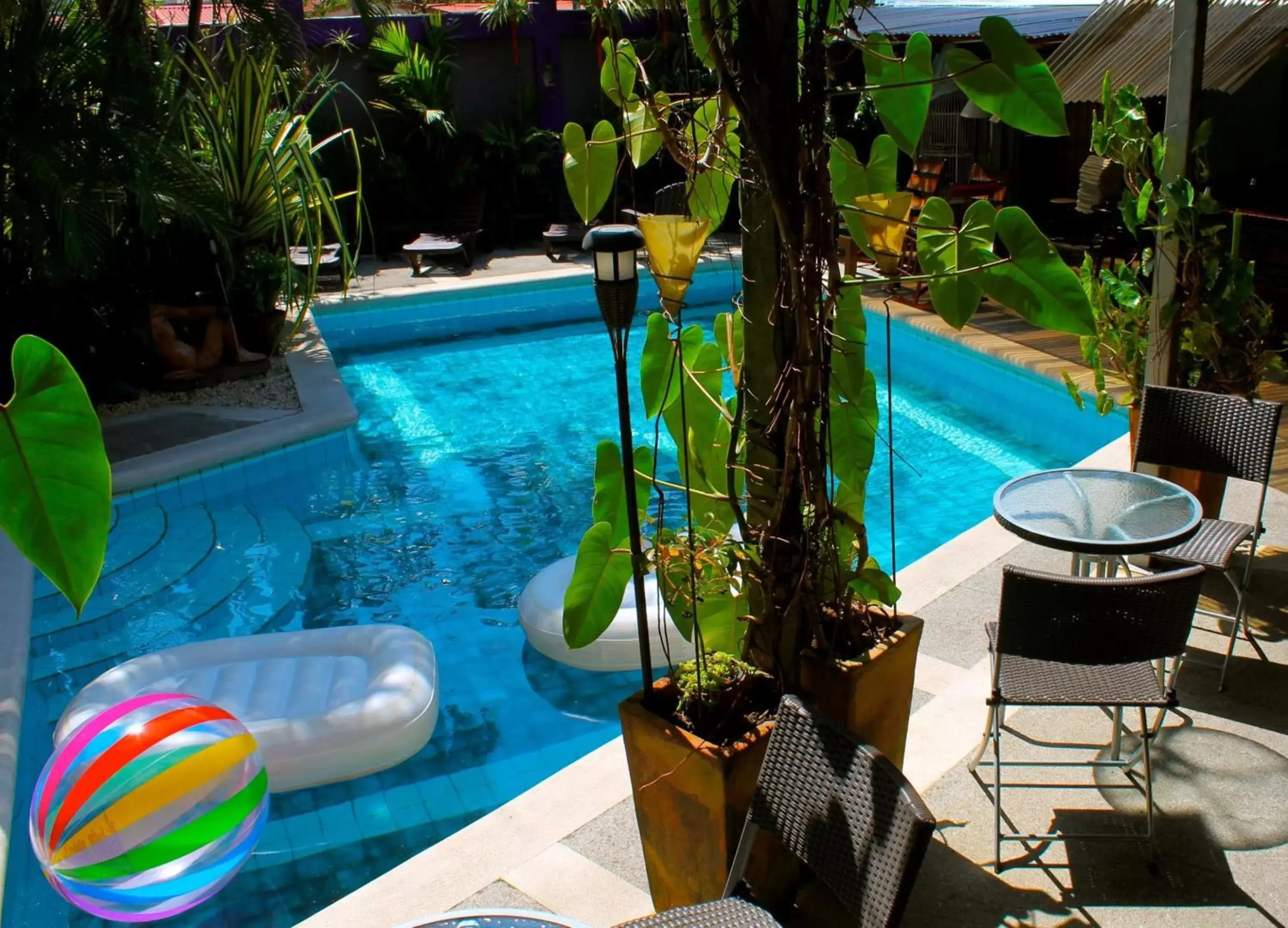 Swimming Pool in Colours Oasis Resort LGTBIQ Plus Property