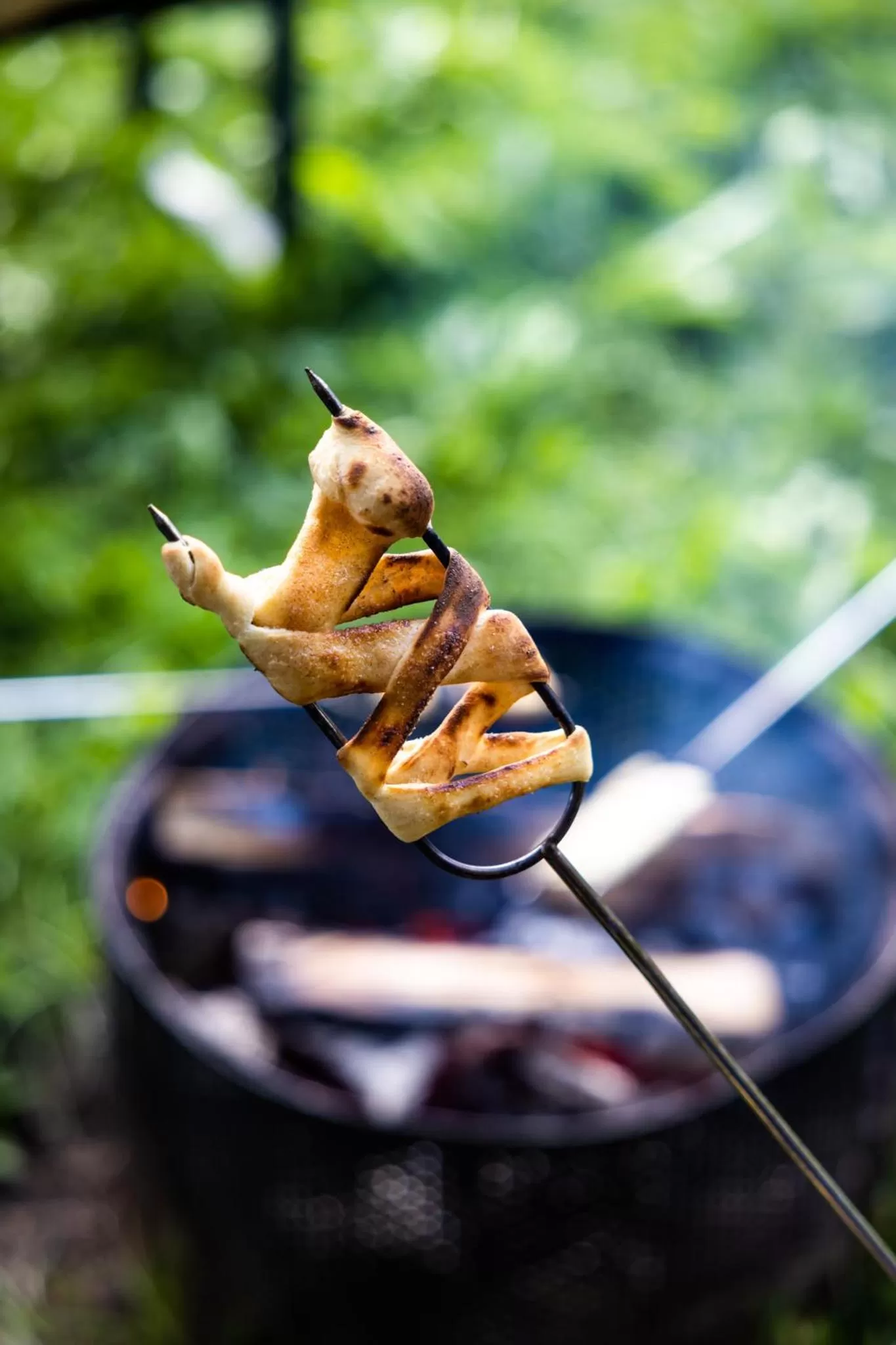 Other Animals in Upper Humber Settlement a FarmStay B&B