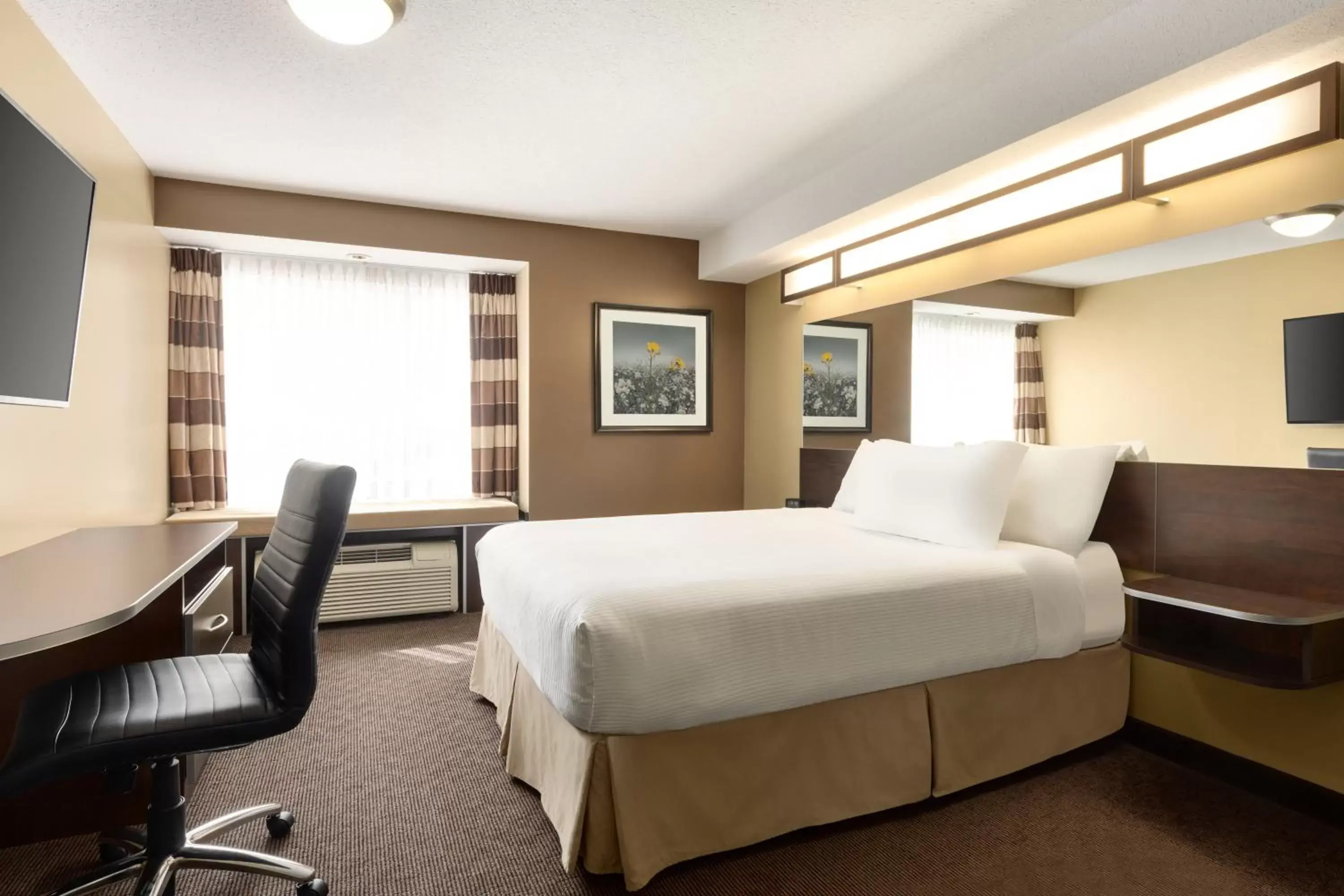 Bed in Microtel Inn & Suites by Wyndham Estevan