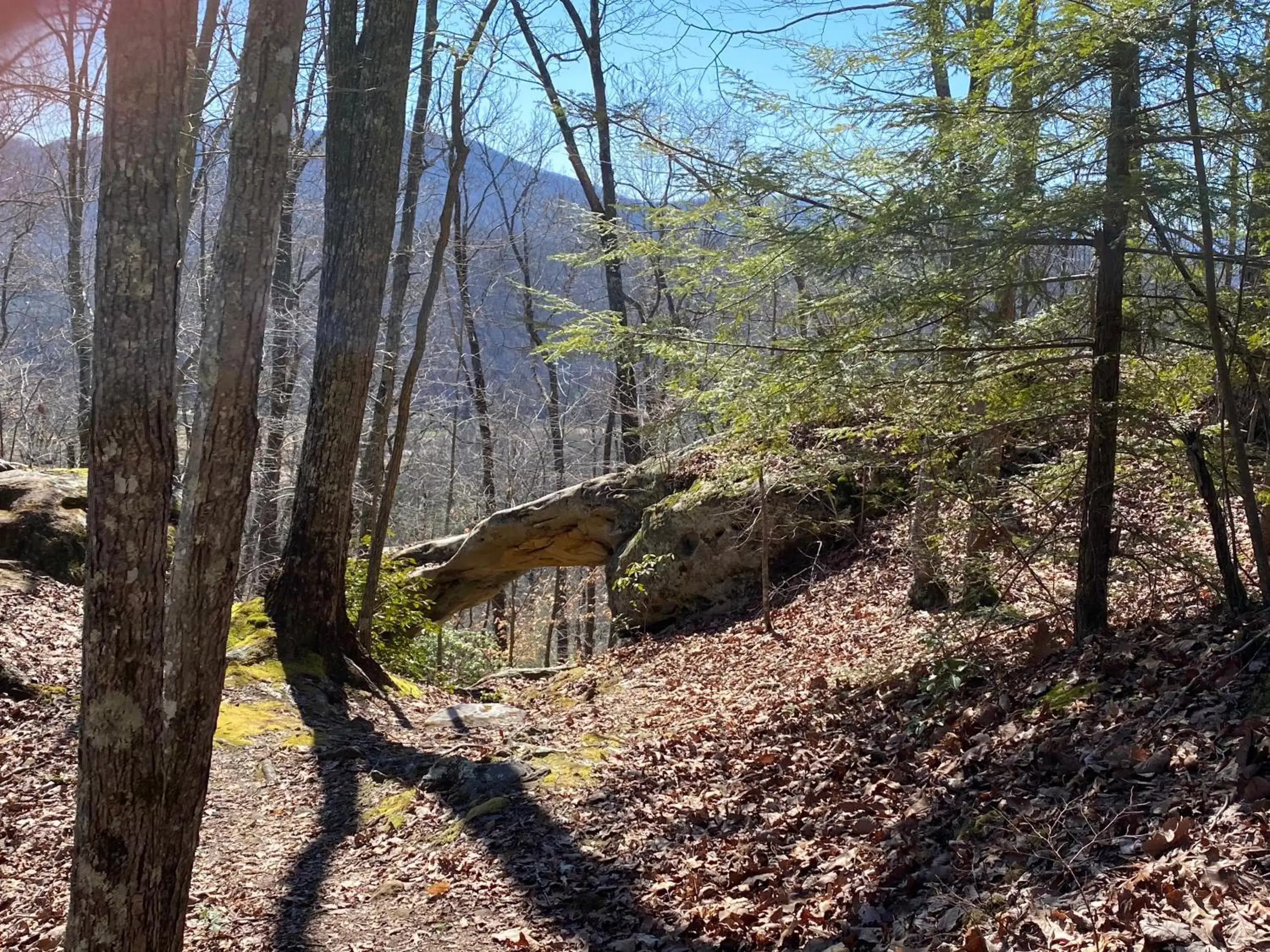 Natural Landscape in Pine Mountain Inn