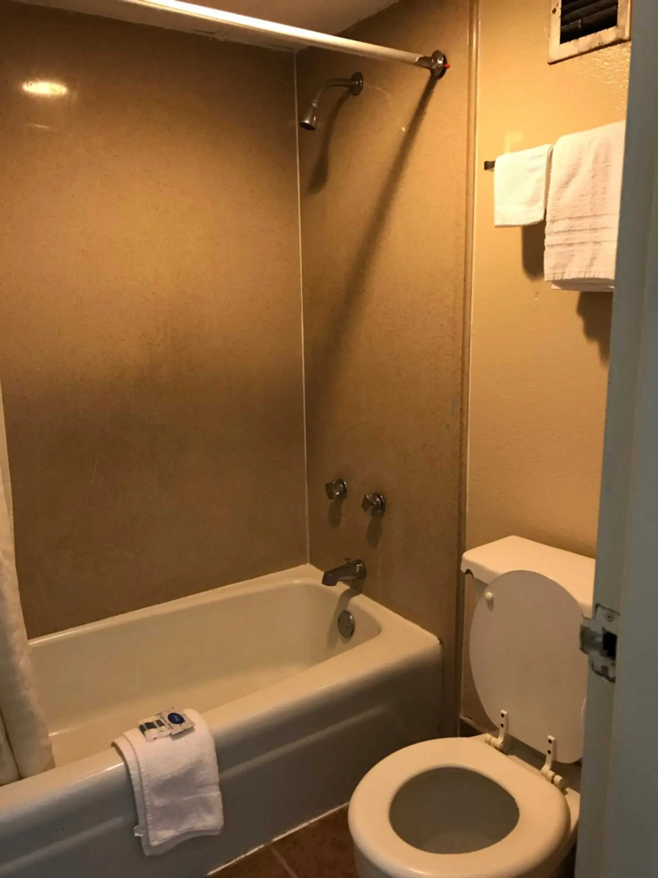 Toilet, Bathroom in Express Inn