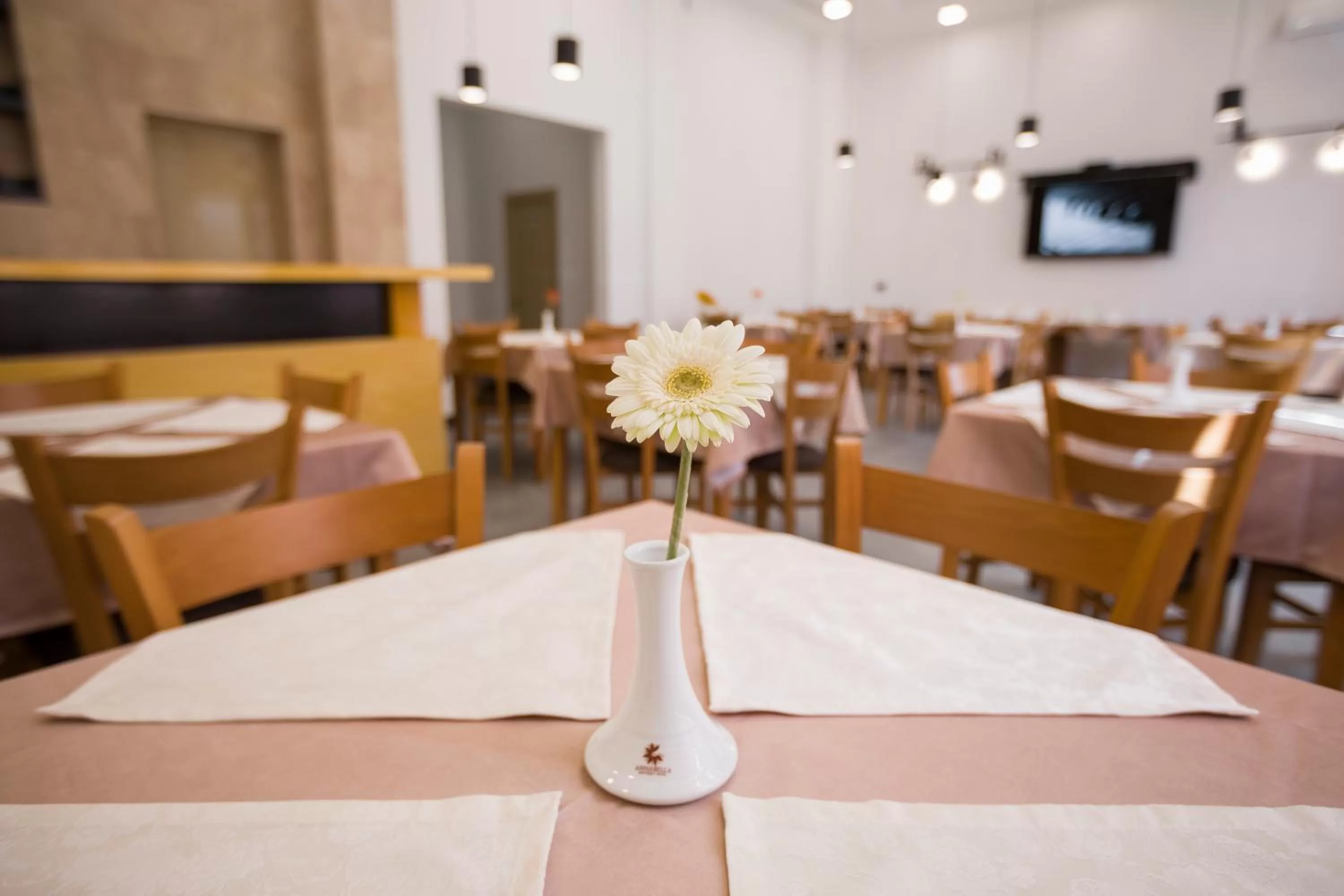 TV and multimedia in AnnaBella Boutique Hotel