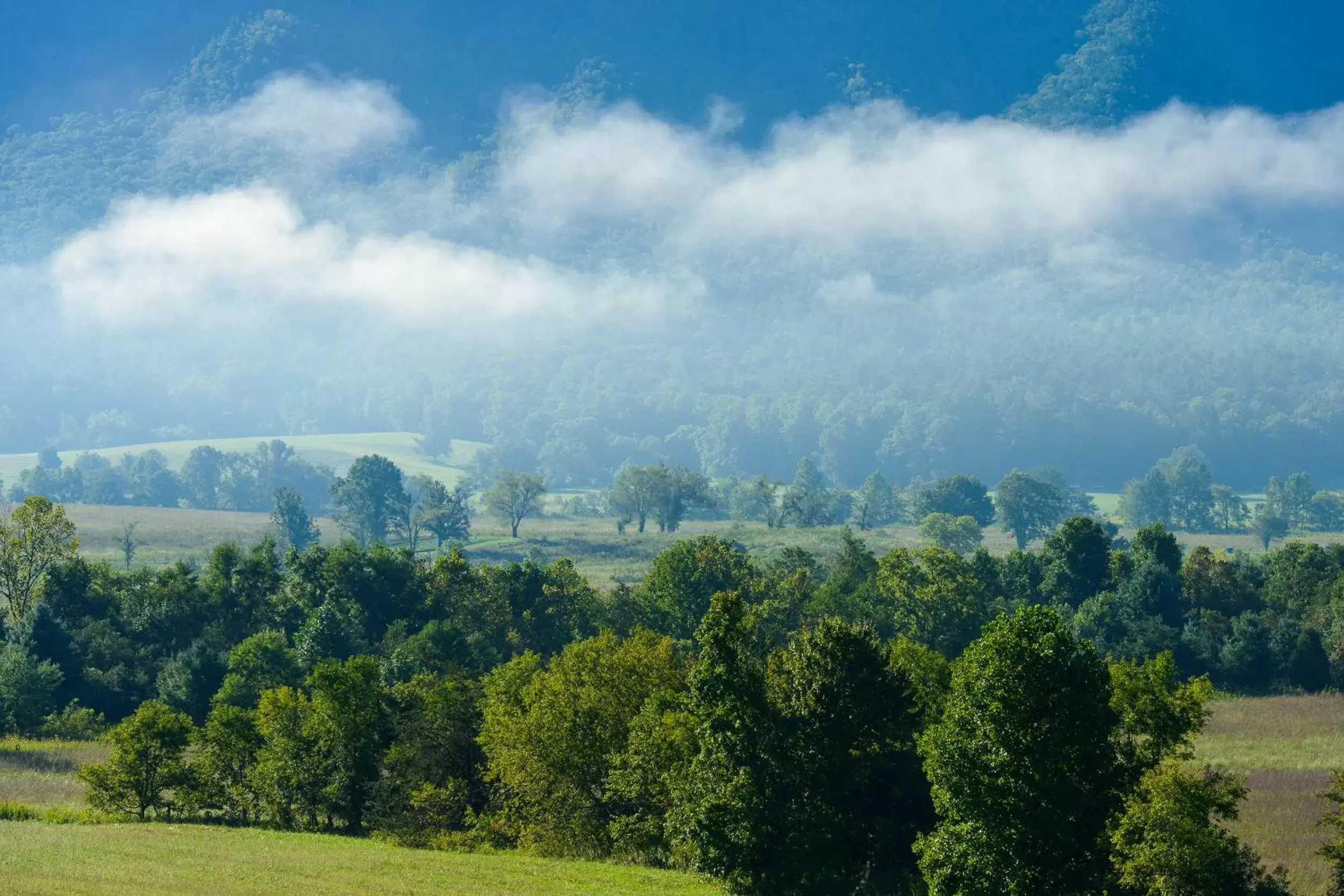 Natural landscape in River Terrace Resort & Convention Center