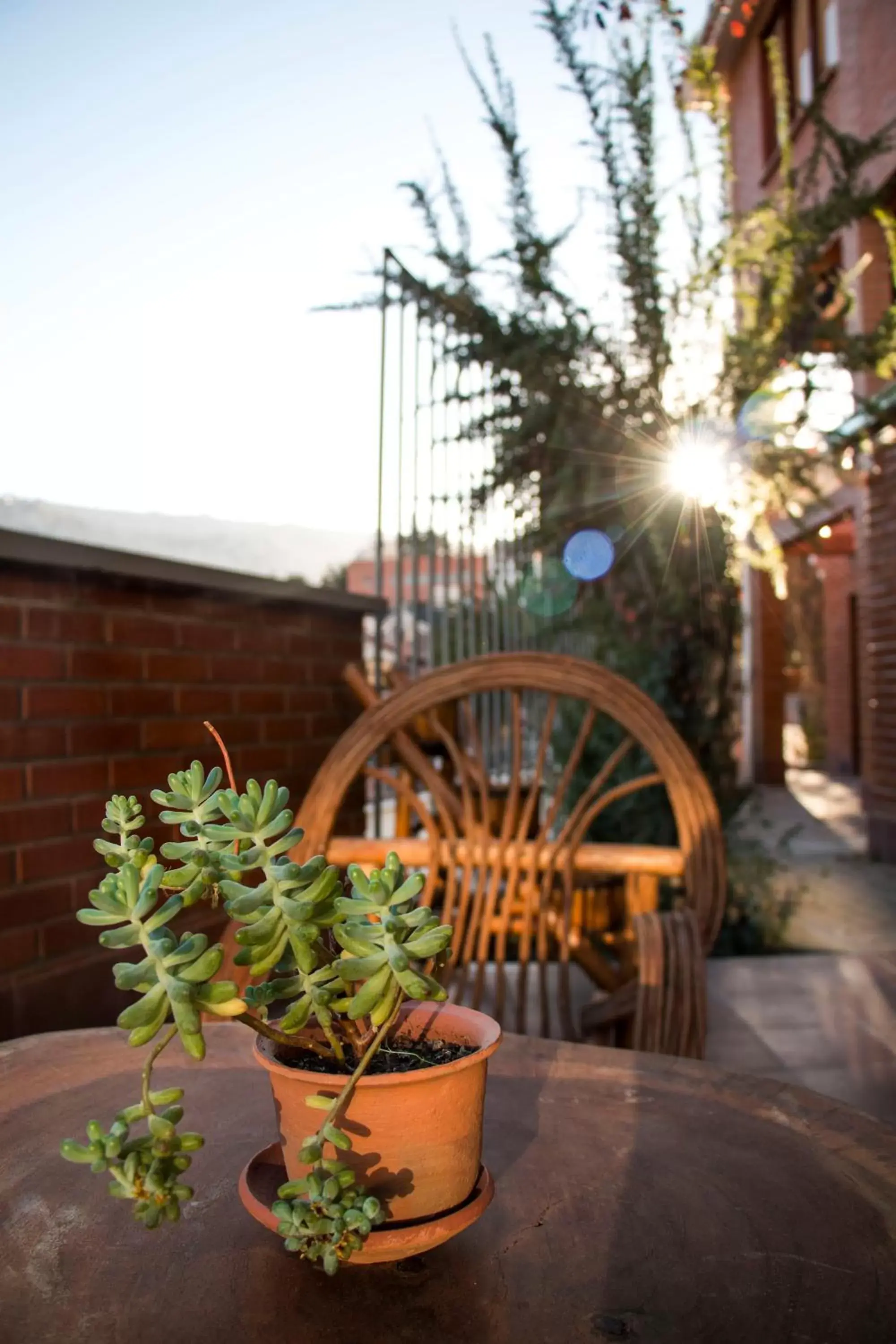 Patio in Qhini Hotel Boutique