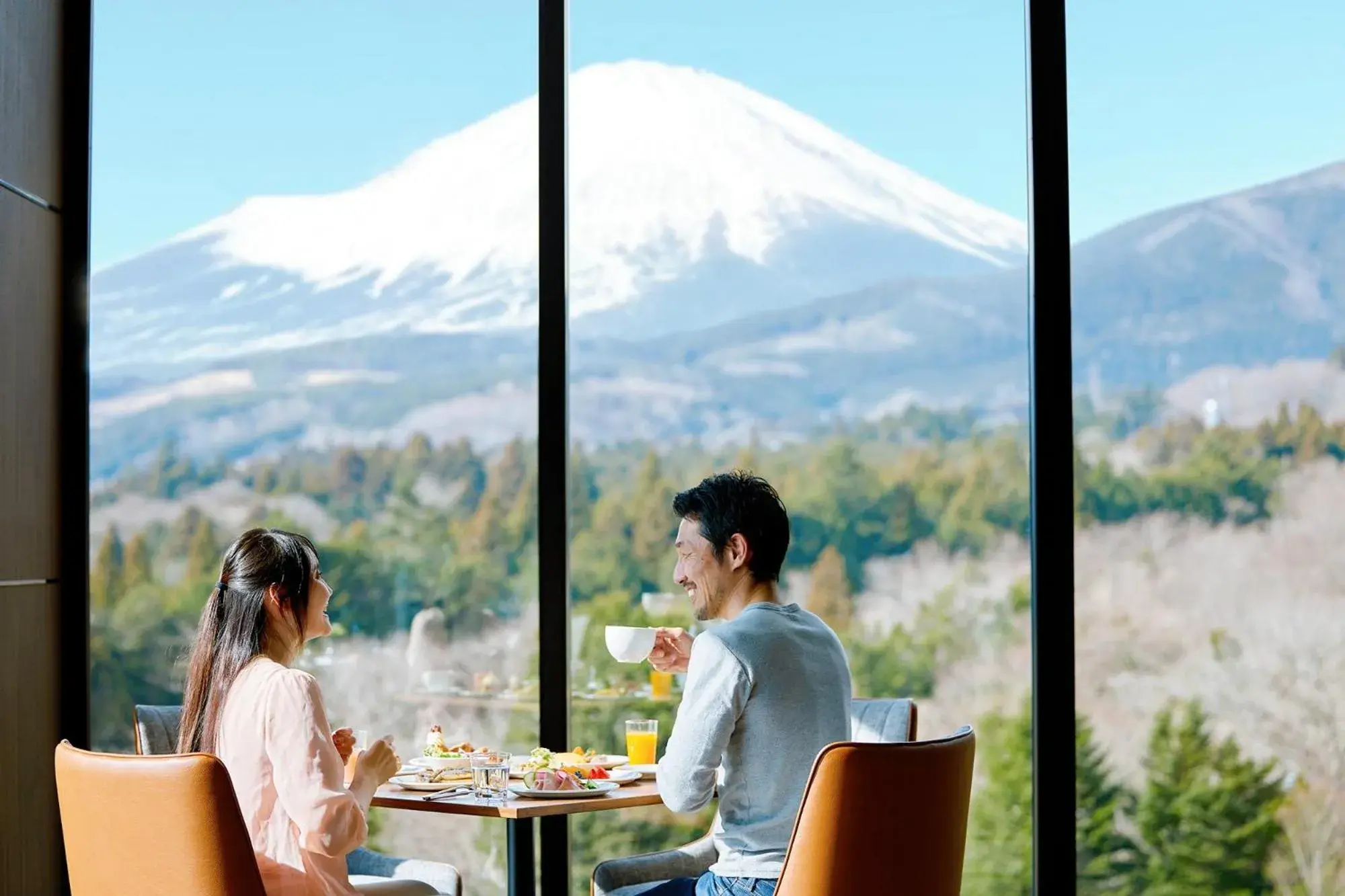 Mountain view in Fuji Speedway Hotel, Unbound Collection by Hyatt